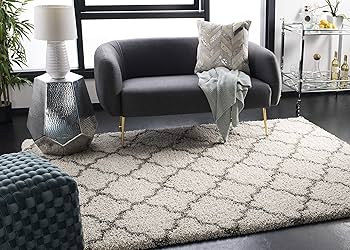 Amazon.com: SAFAVIEH Hudson Shag Collection Area Rug - 6' x 9