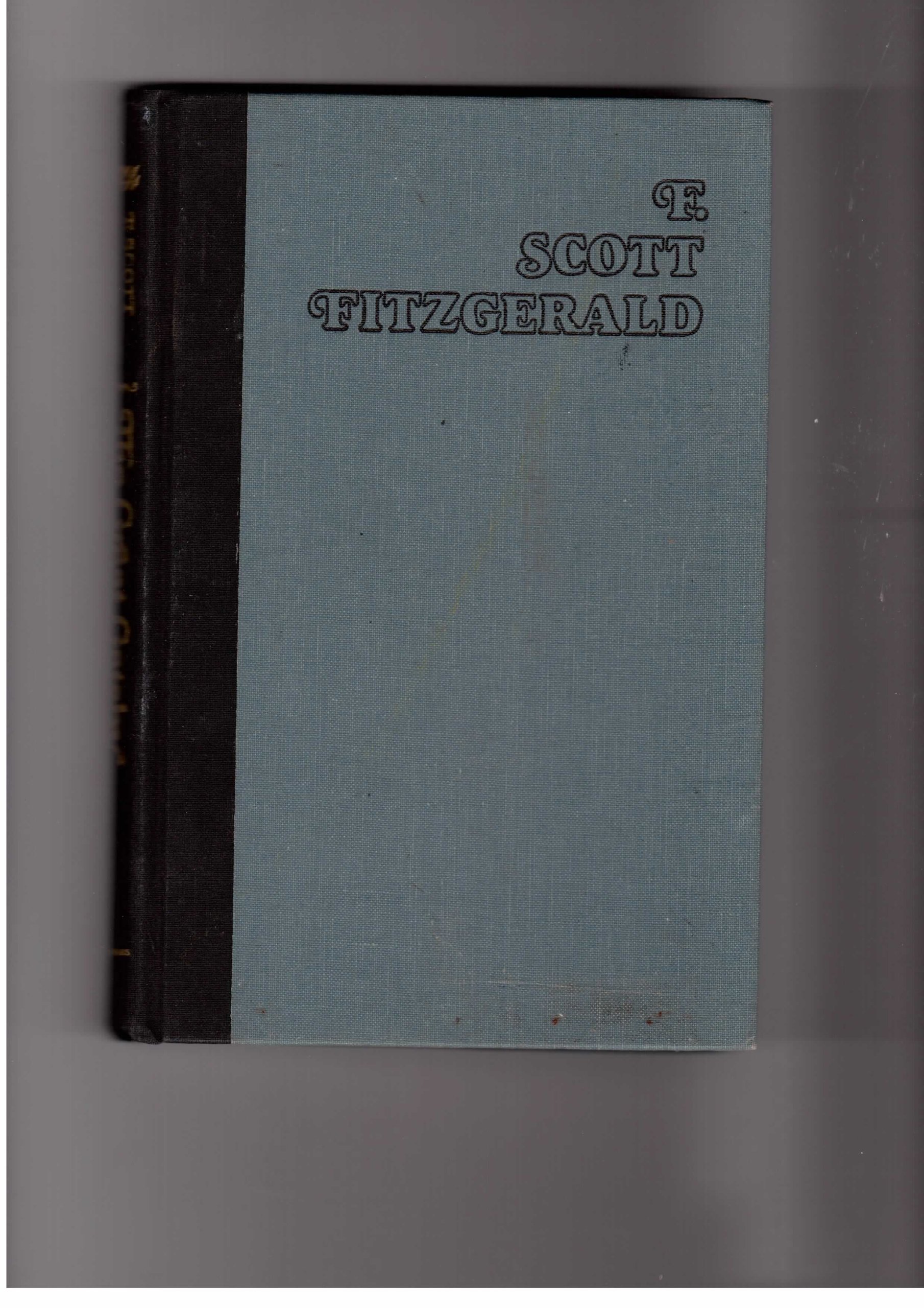 F. Scott Fitzgerald: The Great Gatsby (Columbia Critical Guides)