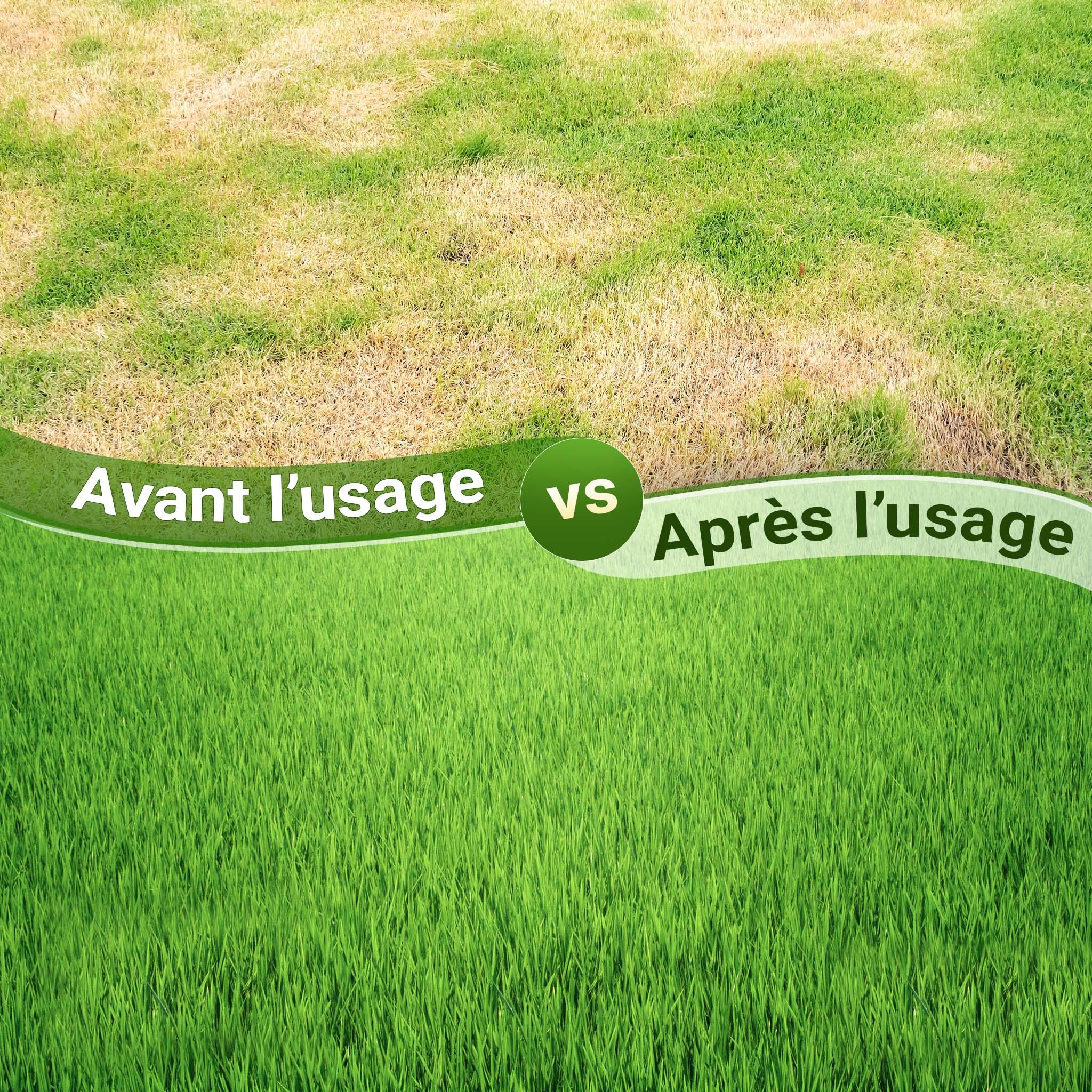 Wiltec Aérateur de Gazon rotatif 5 pointes Noir Profondeur 2,5 pouces 44 x 20,3 x 100 cm 6,3 kg Lestage 15,8kg max. largeur de travail 16" Rouleau de jardin Outillage manuel jardin Perforateur pelouse