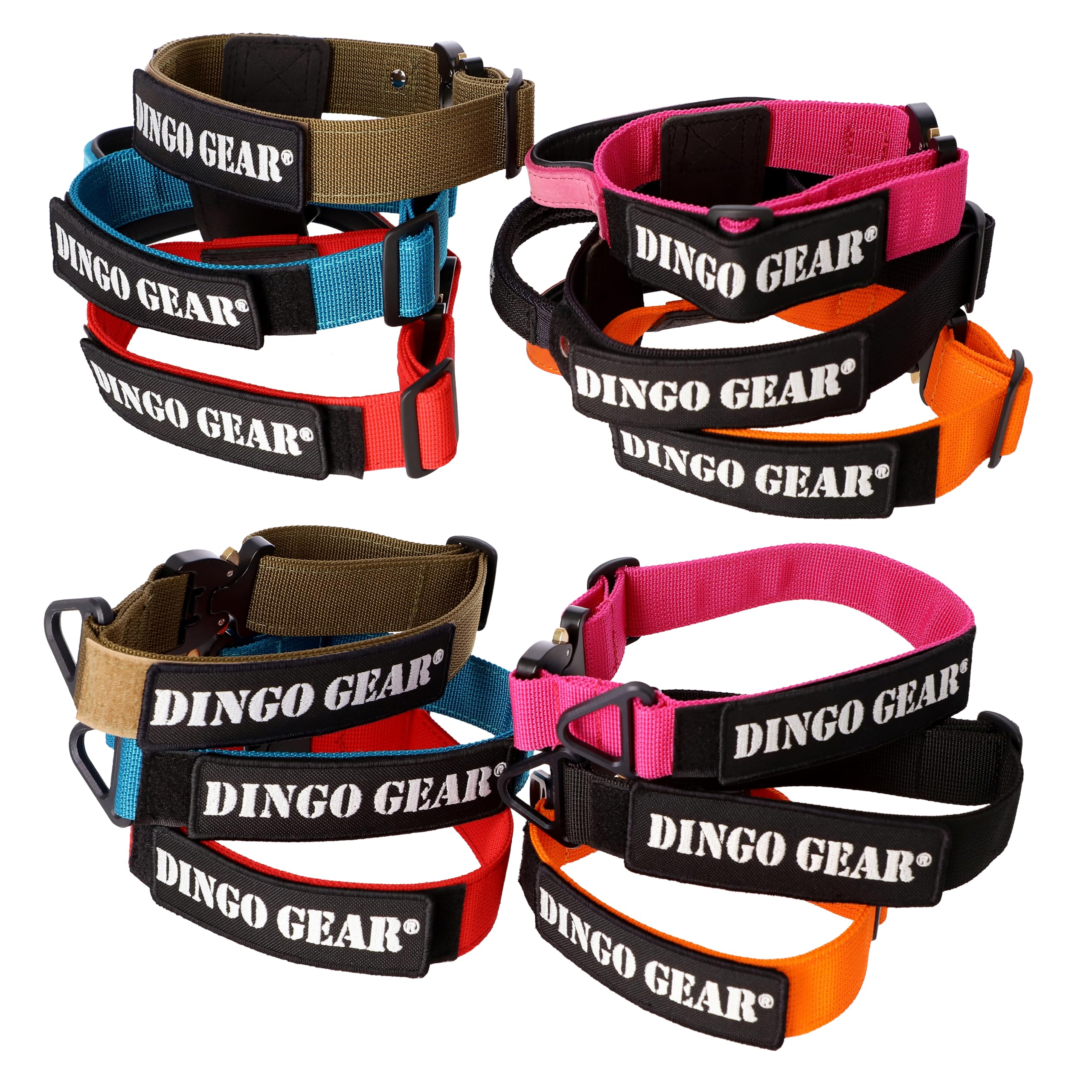 Dingo Gear Collar Cobra con Hebilla Segura y Velcro. Defensa. Cuello 45–63 cm, Negro (S04029)
