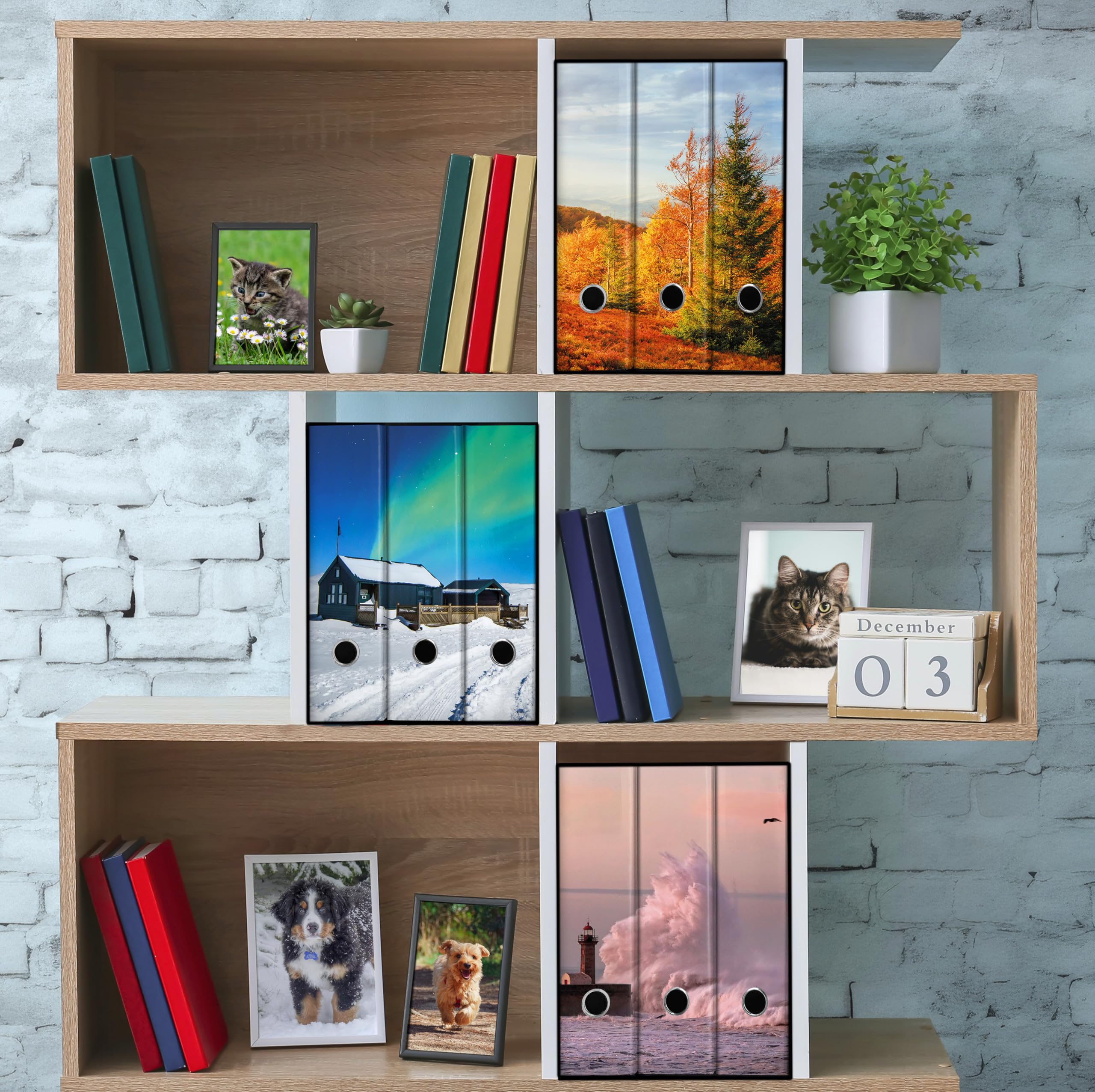 Shareprinting Set 3 raccoglitori ad anelli - AURORA (H31 cm con 4 anelli)