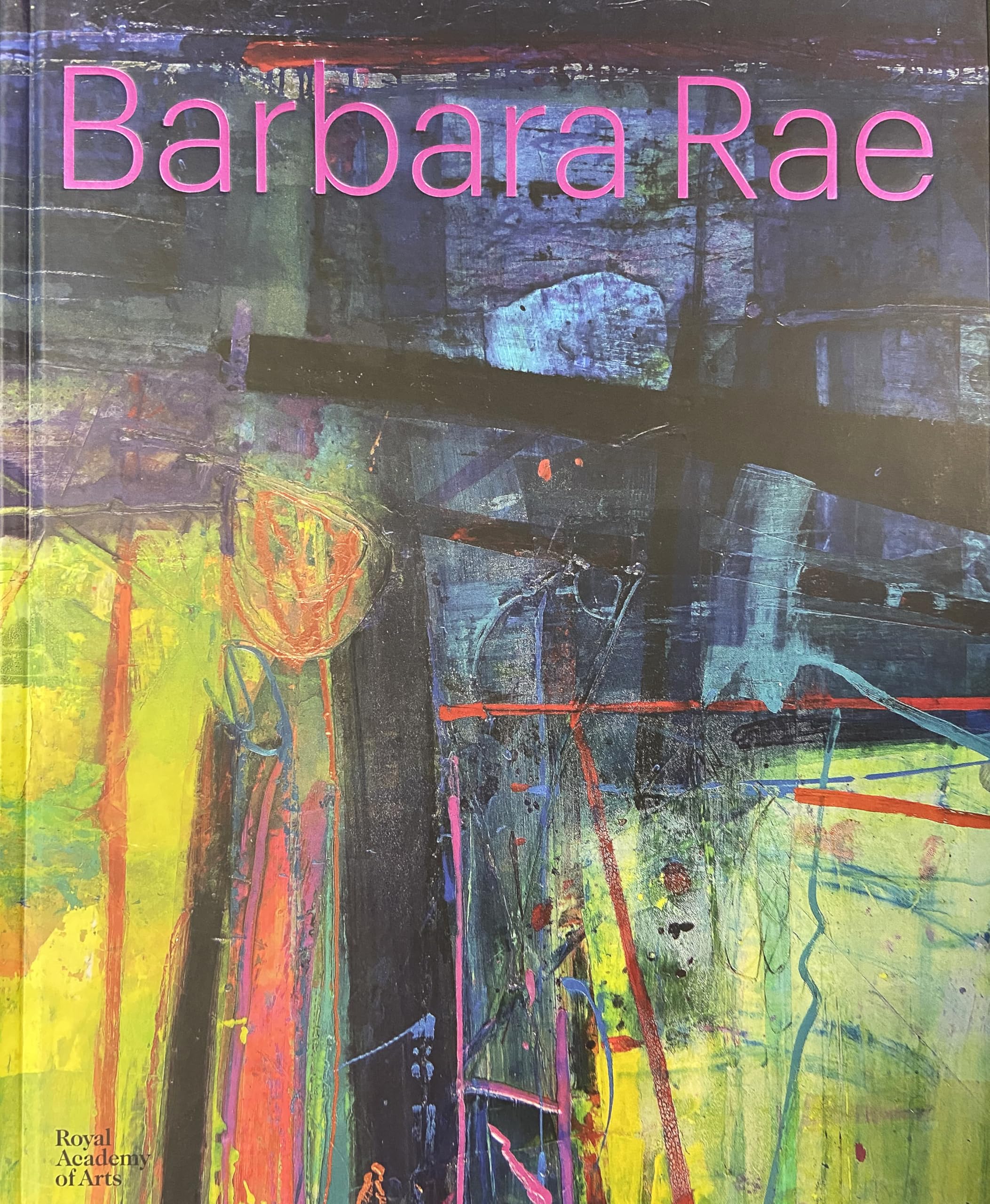 Barbara Rae by Duncan Macmillan, Robin McKie, Imogen Stevens - 9781915815156