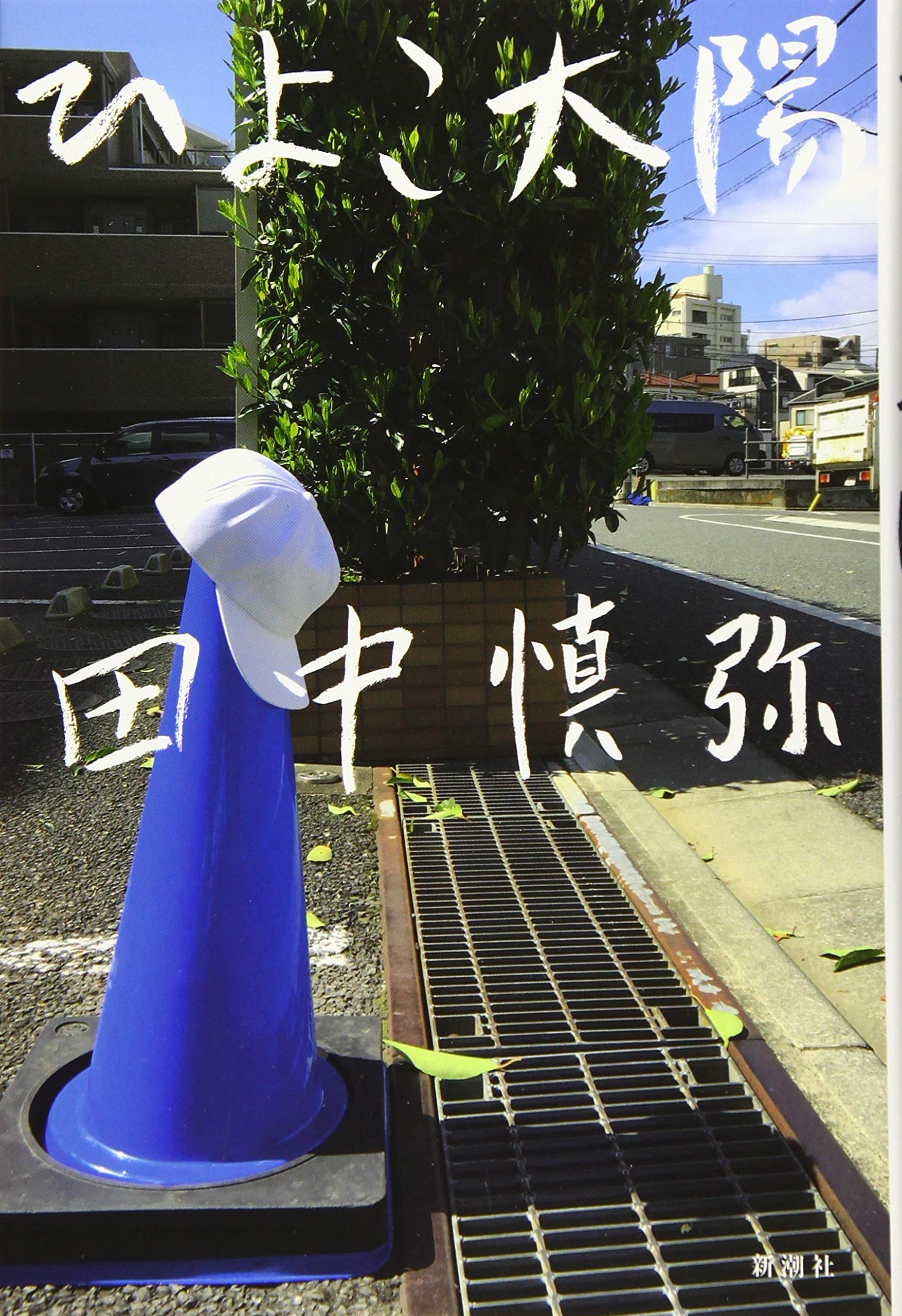 Amazon.co.jp: ひよこ太陽 : 田中 慎弥: 本