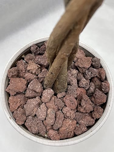 Miniatura 5 de KAYSO INC - Rocas de lava decorativas para paisajismo o pozos de gas, 34 pulgadas (.75 pulgadas) (40 libras, roca de lava roja)