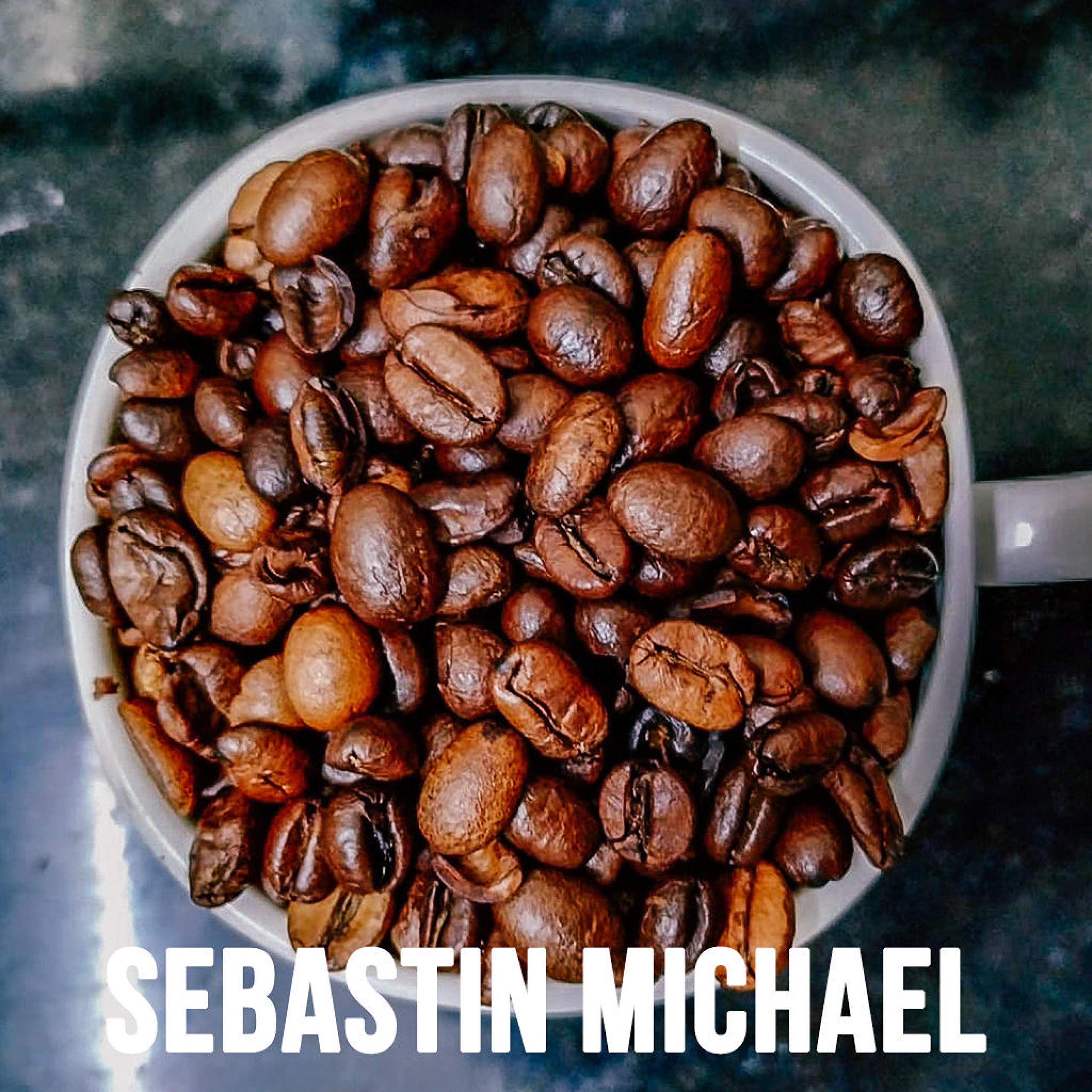 Sebastin Michael