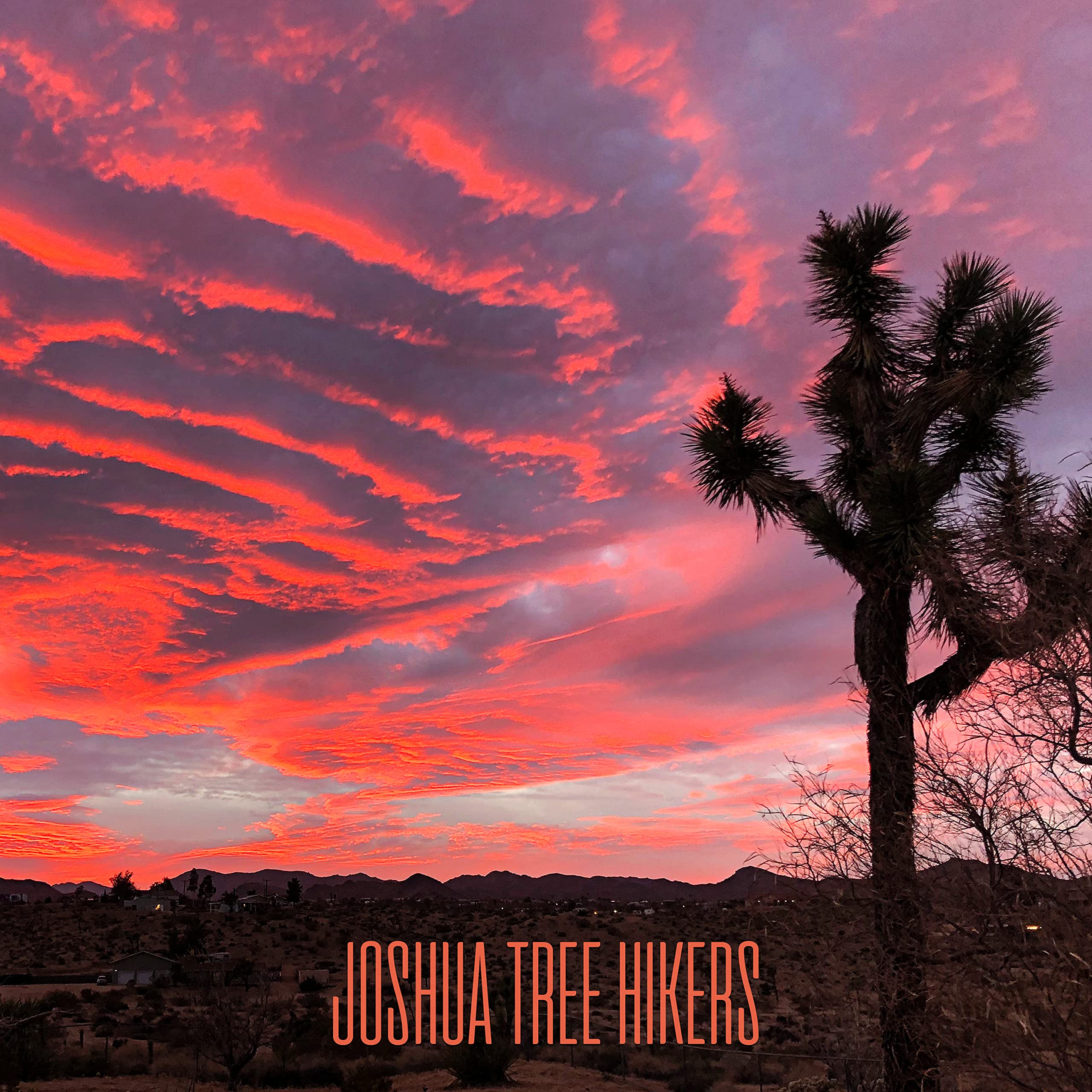 Joshua Tree Hikers