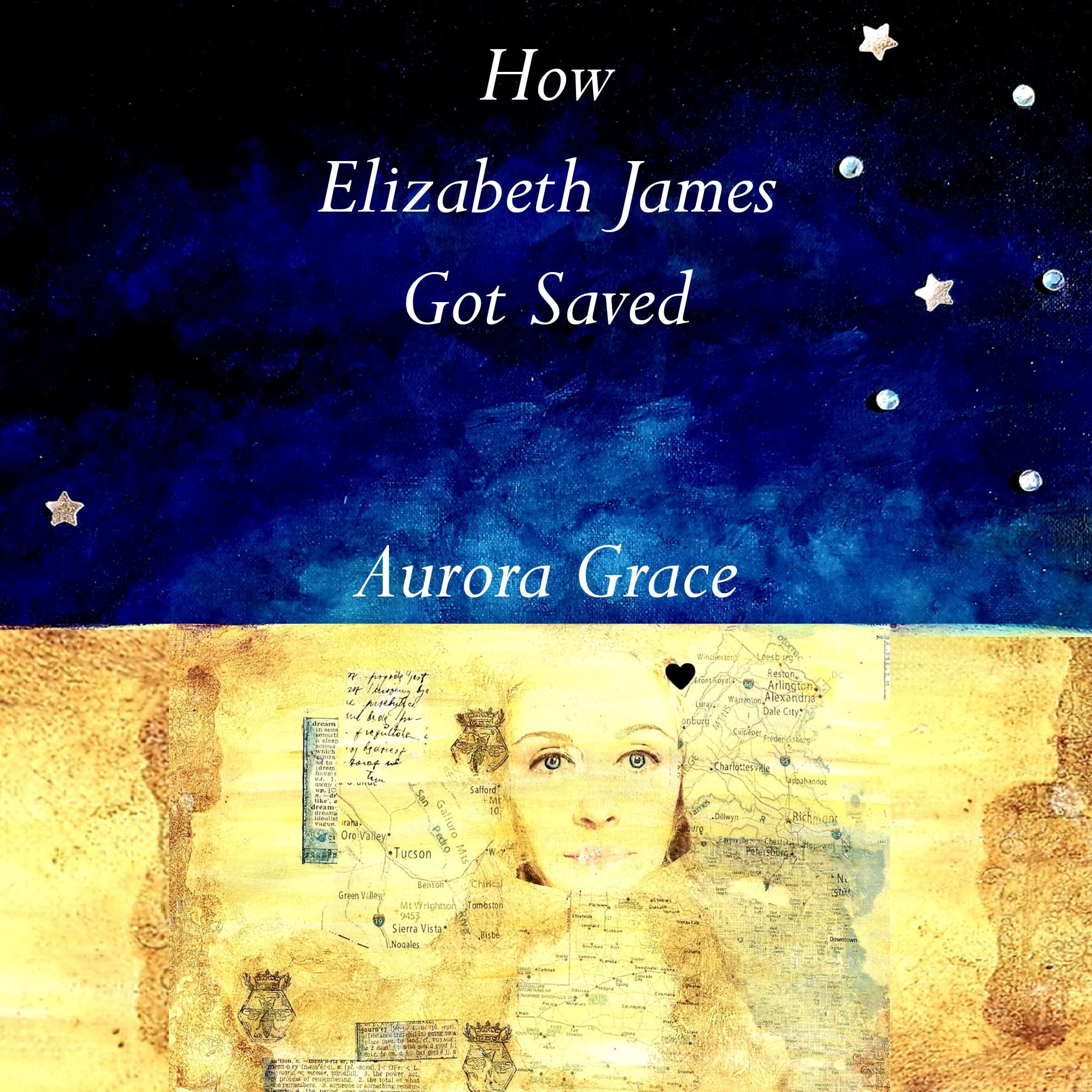 Cover art for How Elizabeth James Got Saved
