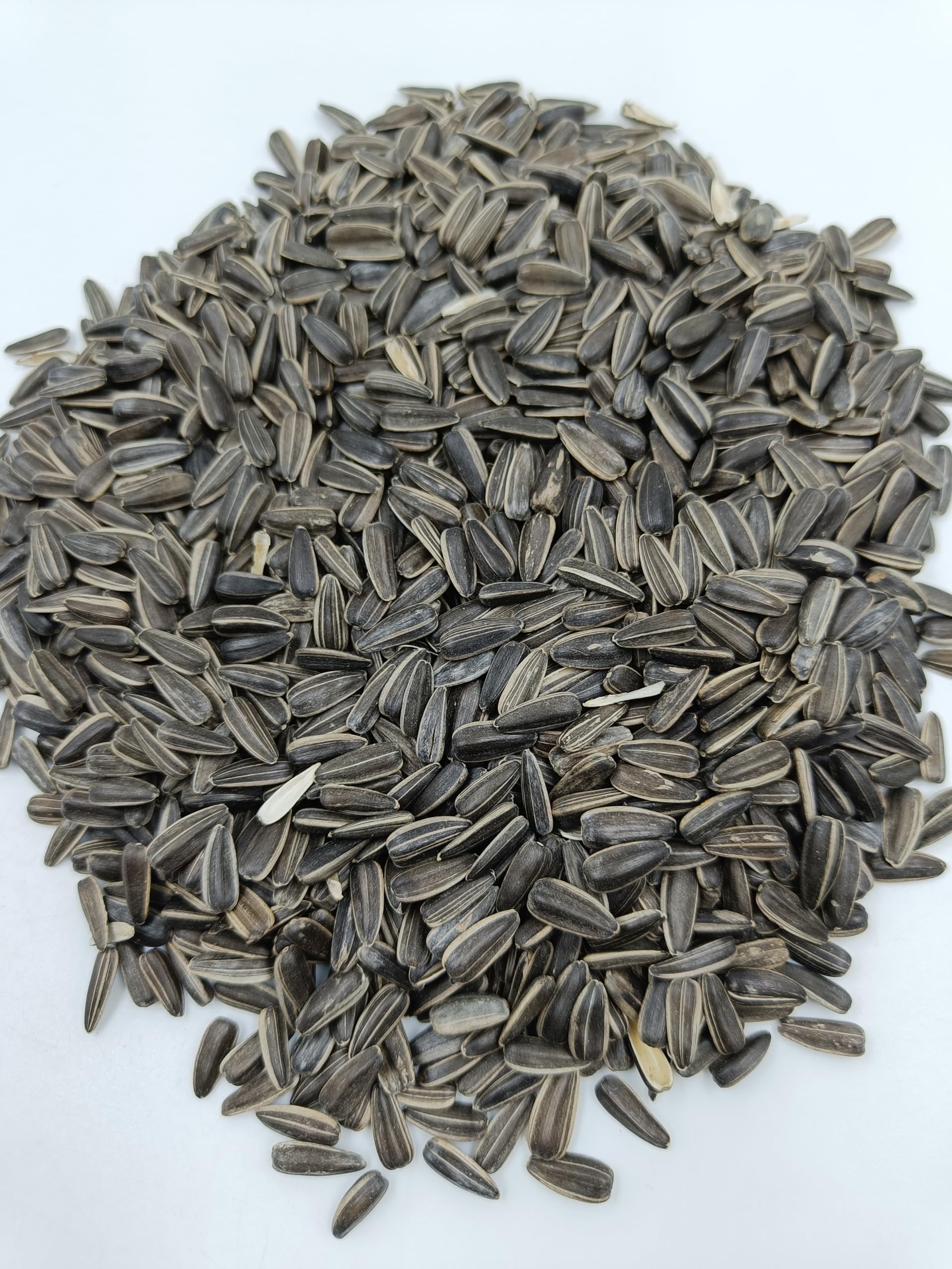 Omiyage® Premium Sunflower Seeds for Birds – 1kg Pack Bird Food for Lovebirds, Cockatiels, Sun Conures, African Grey Parrots, Amazon Parrots, Macaws & Cockatoos Suitable for All Life Stages (B0DH2J8B1B) Amazon Price History, Amazon Price Tracker