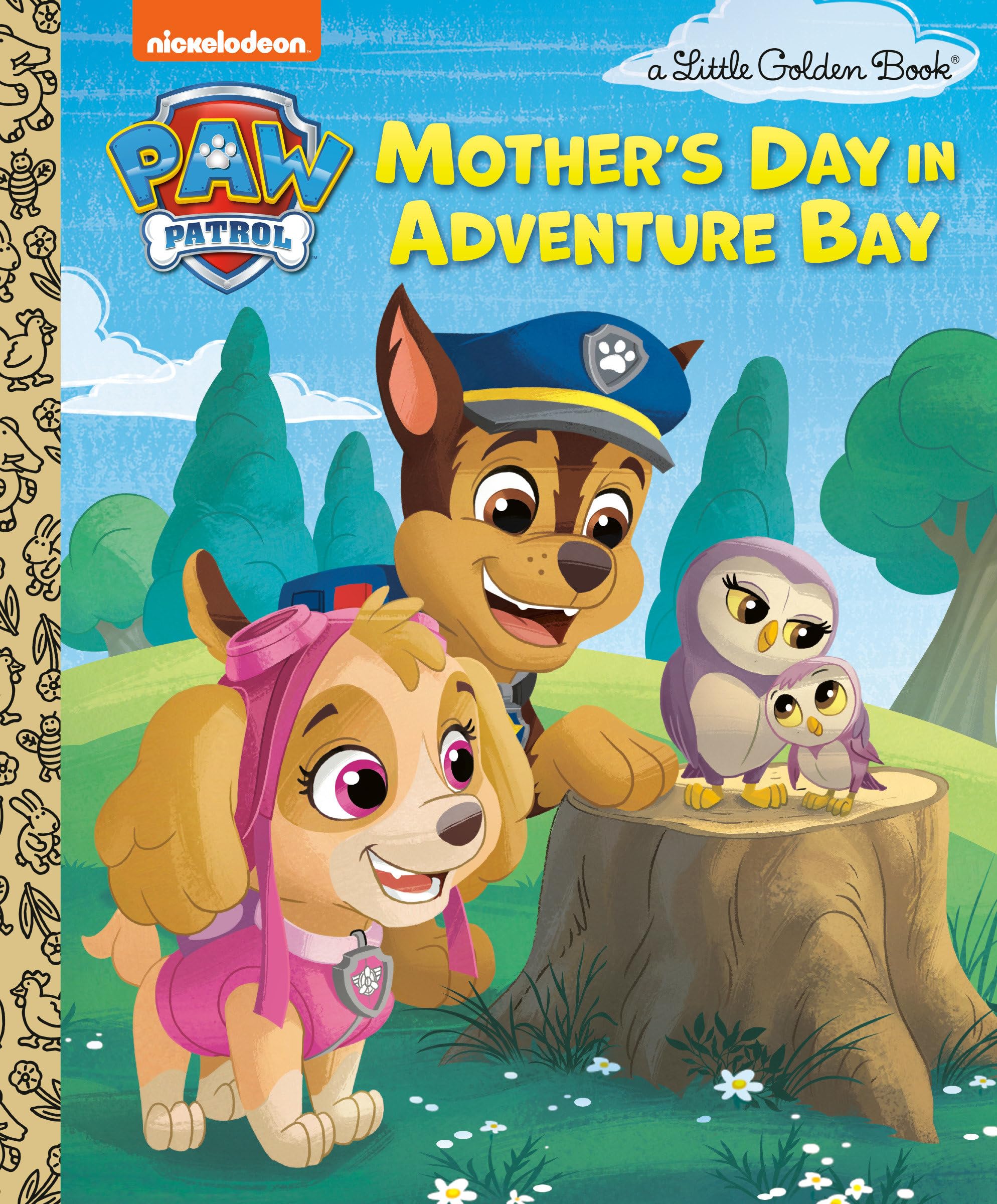 Mother's Day in Adventure Bay (PAW Patrol): Huntley, Matt