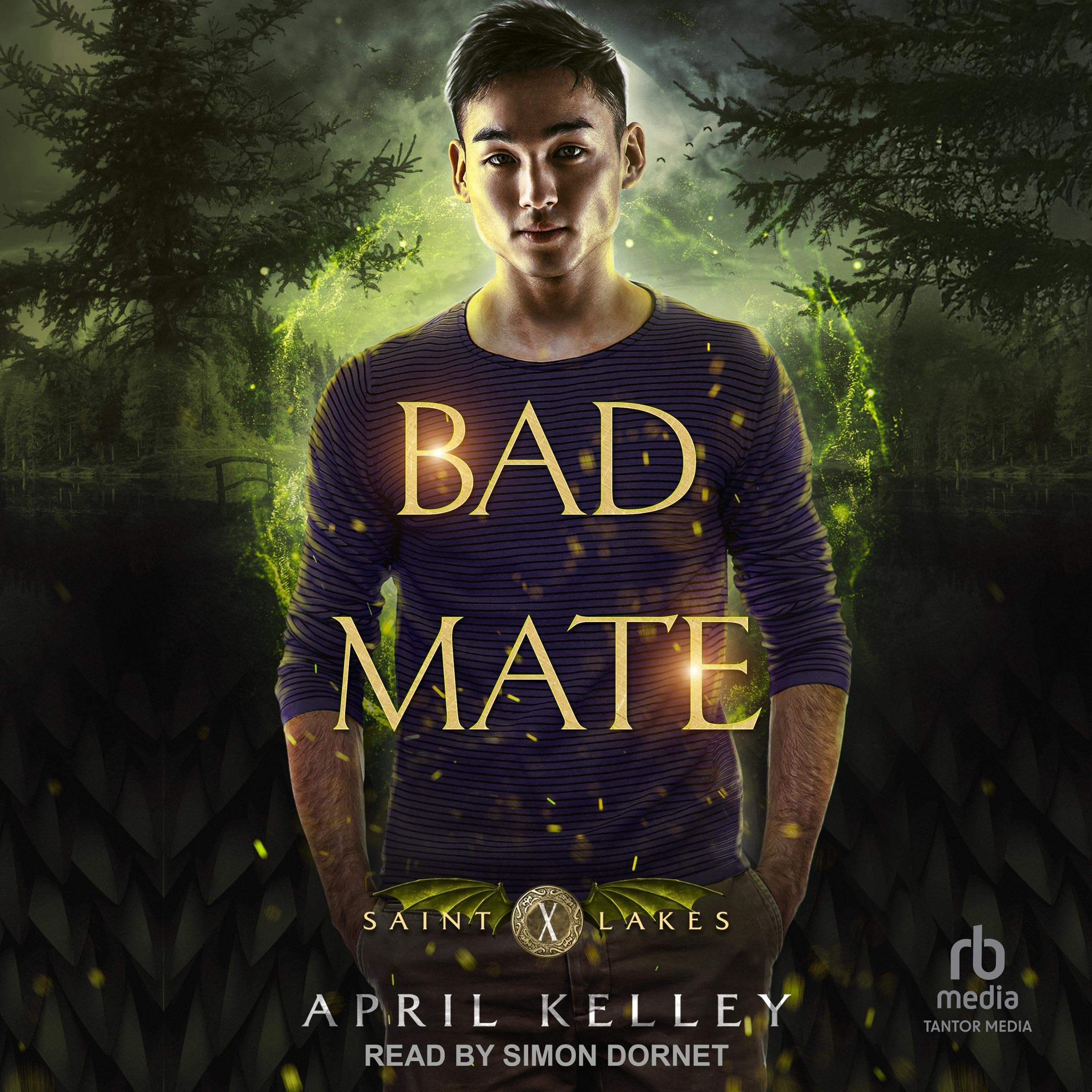 Cover art for Bad Mate