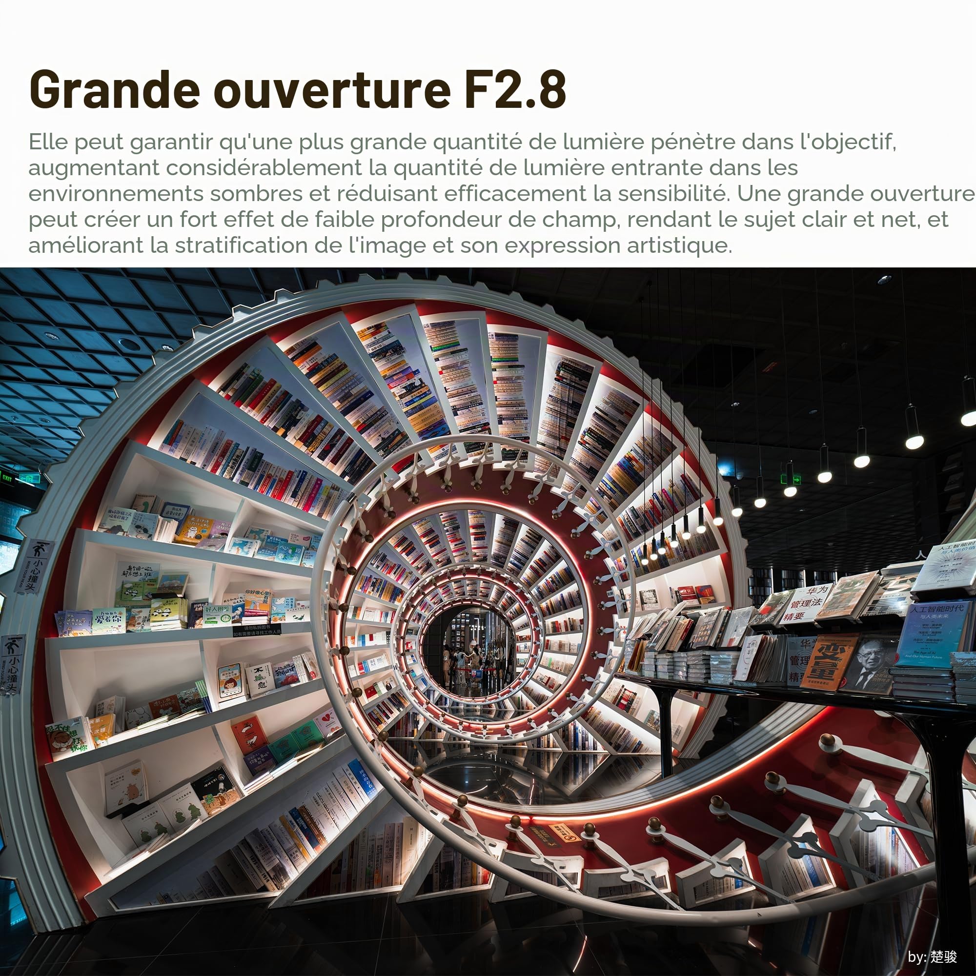 7Artisans 14mm F2.8 pour L-Mount Objectif,Grand Angle Plein Format Lentilles 116° Mise au Point Manuelle Compatible avec L-Mount Leica SL2/Lumix S1 S1H S5/Sigma FP L S1 S1H S5, Leica SL SL2