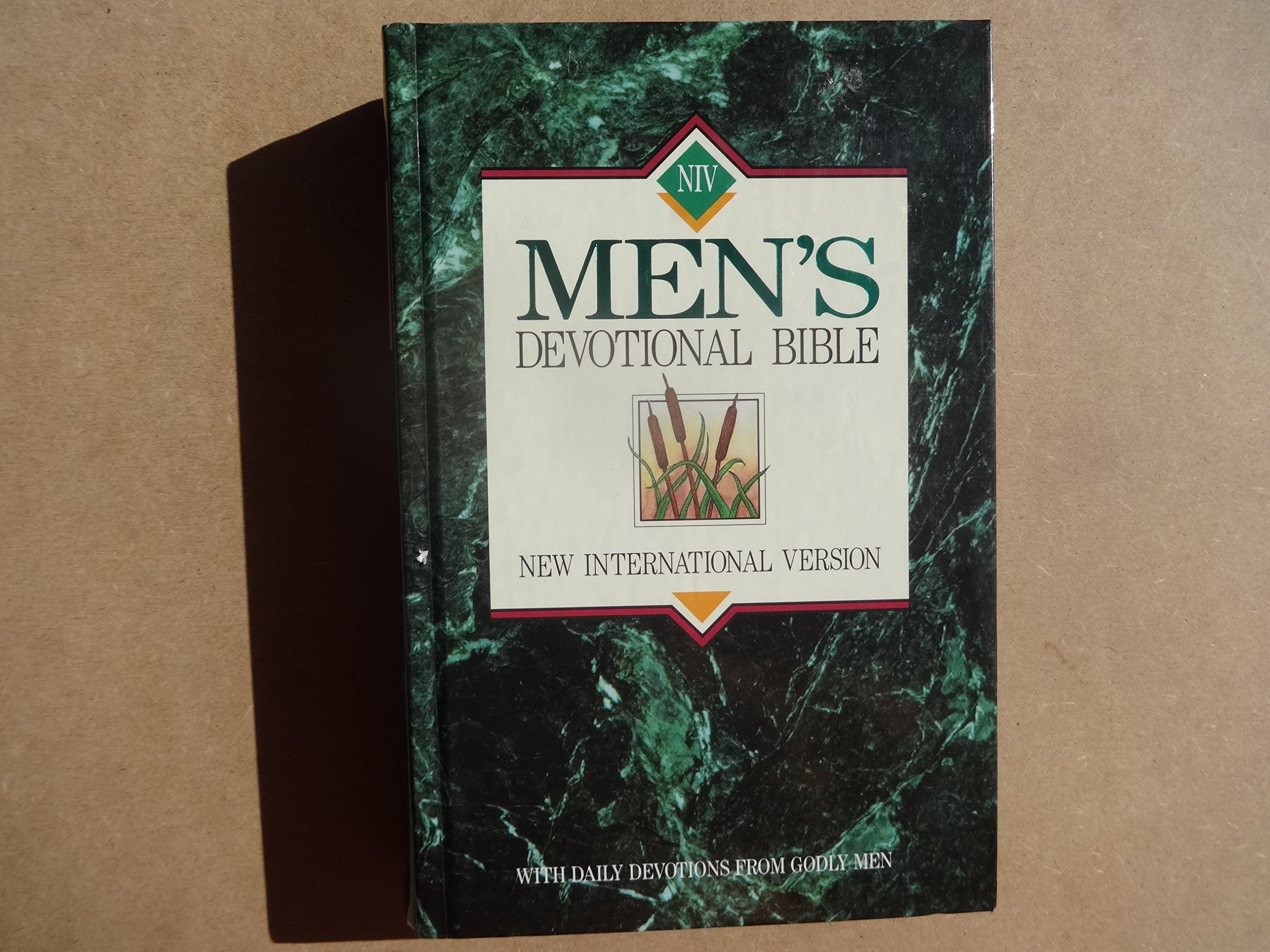 NIV Men's Devotional Bible: New International Version: Zondervan