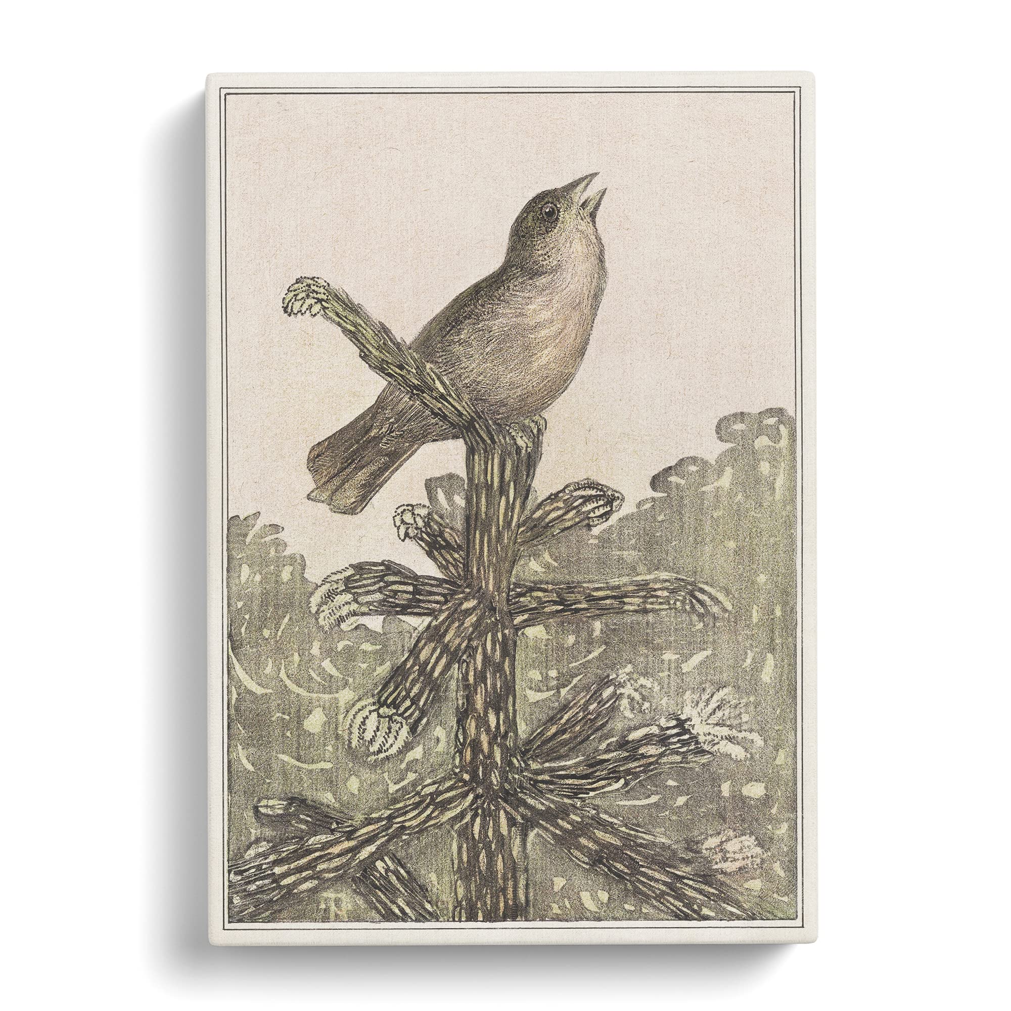 Singing Bird On Pine Tree By Theo Van Hoytema Canvas Print, Mixed, 25L x 50W cm - Image 2