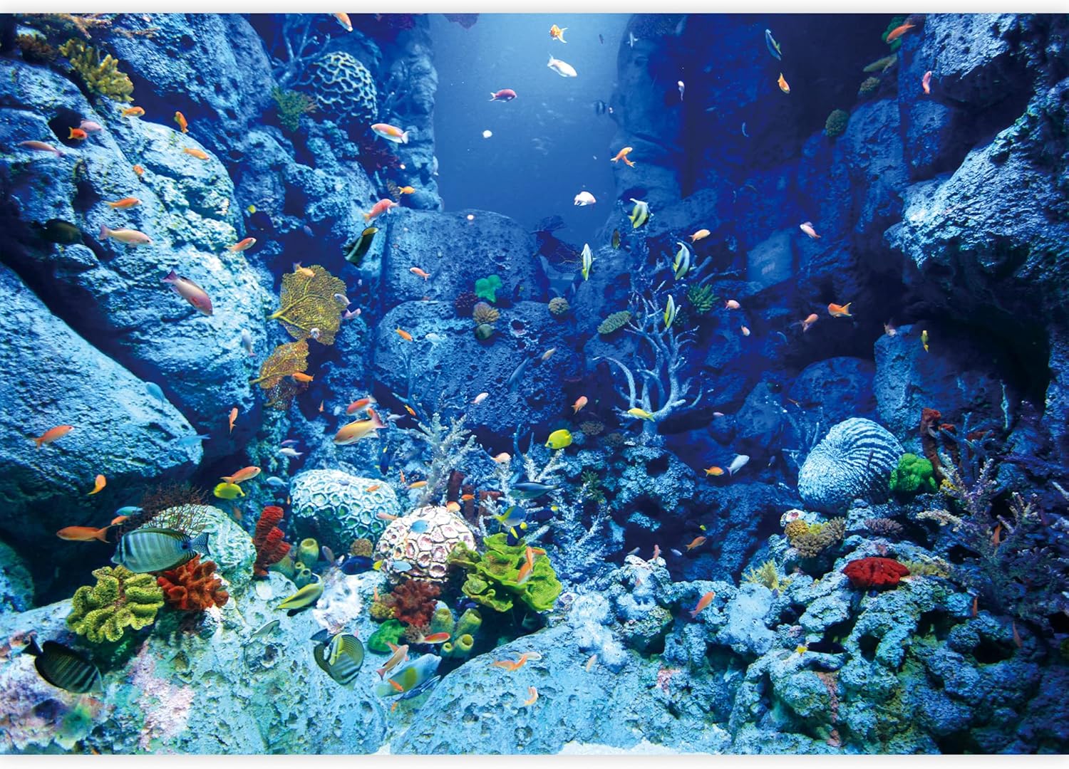 SIGNWIN Wall Mural Underwater with Coral Reef and Colorful Fish Removable Self-Adhesive Wallpaper Wall Decoration for Bedroom Living Room - 100x144 inches