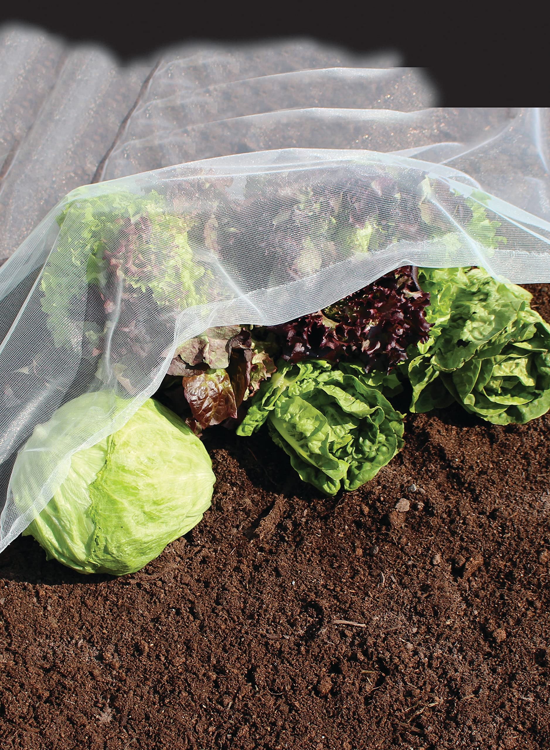 AgralanTendamesh | Lightweight Insect Netting for Crop Protection | Cover Fruit Vegetable Seedlings | 2.1m x 4m