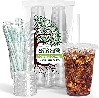 Stock Your Home 16 oz Clear Compostable Cups with Lids and Straws (Set of 50) Plant Based Biodegradable Cold Cups No Plastic Eco Party Cup, Environmentally Friendly Recyclable Disposable Sustainable