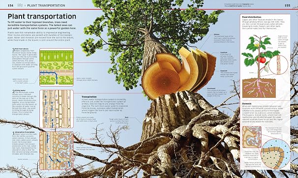 Knowledge Encyclopedia Science!, 2nd Edition