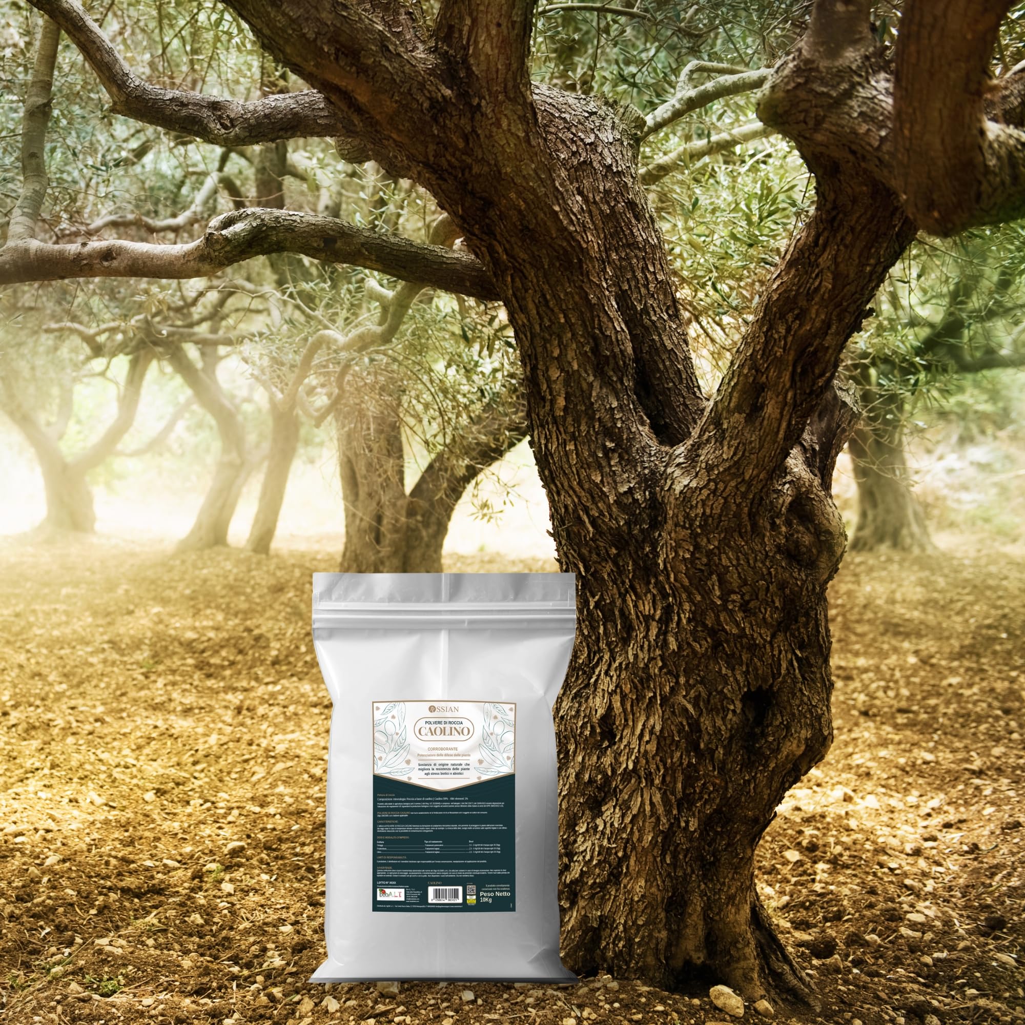 Ossian Caolino Micronizzato per Piante 10 KG – Polvere Naturale Biologica – Protezione contro Mosca dell’Olivo, Insetti e Parassiti – Agricoltura Biologica