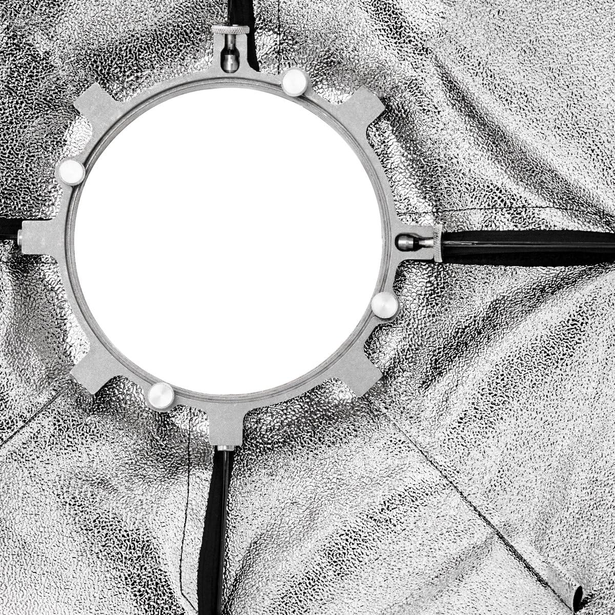 Interior view of softbox showing speedring mount