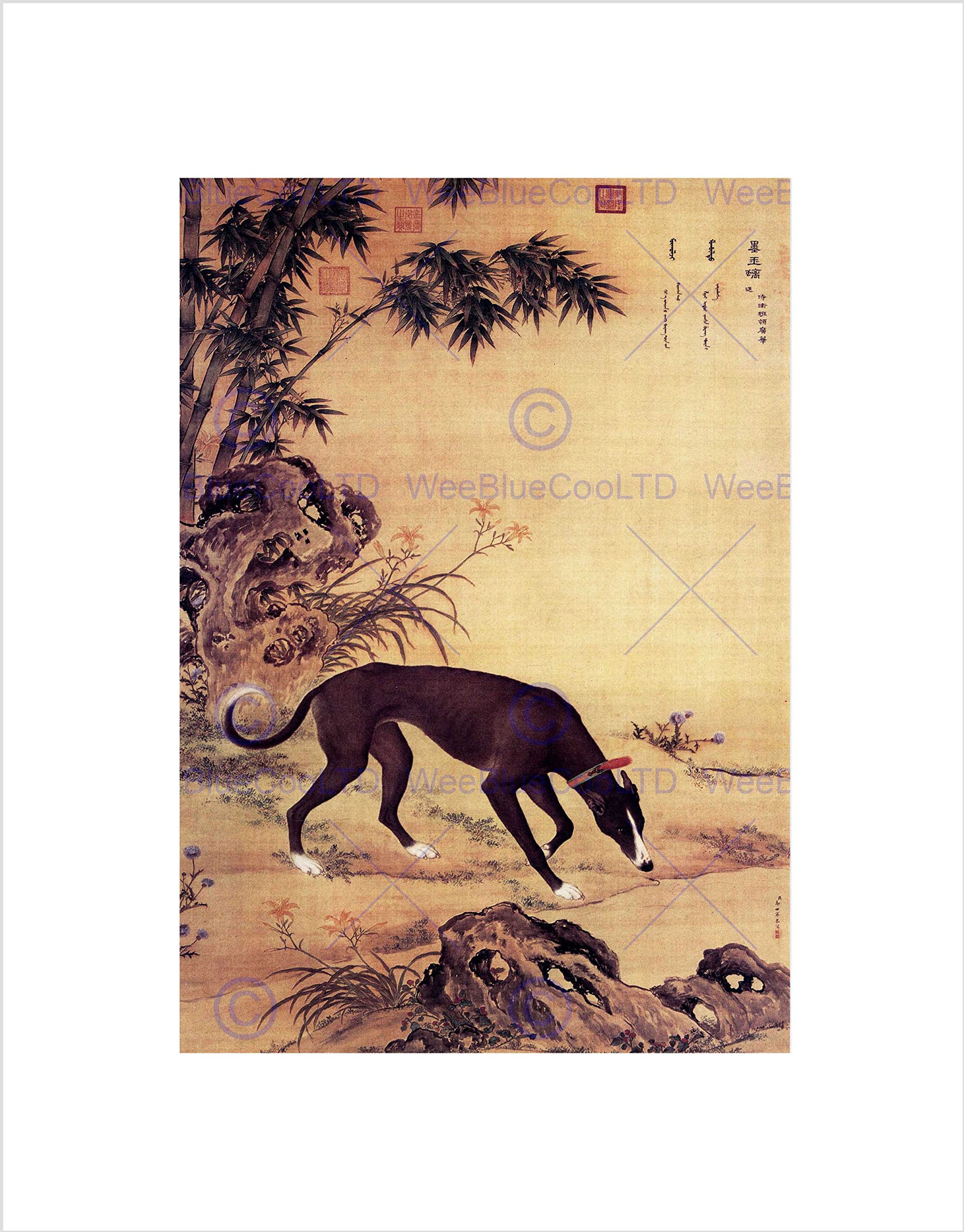 Wee Blue Coo Animal Castiglione Ten Prized Dogs Moyuli Greyhound Wall Art Print