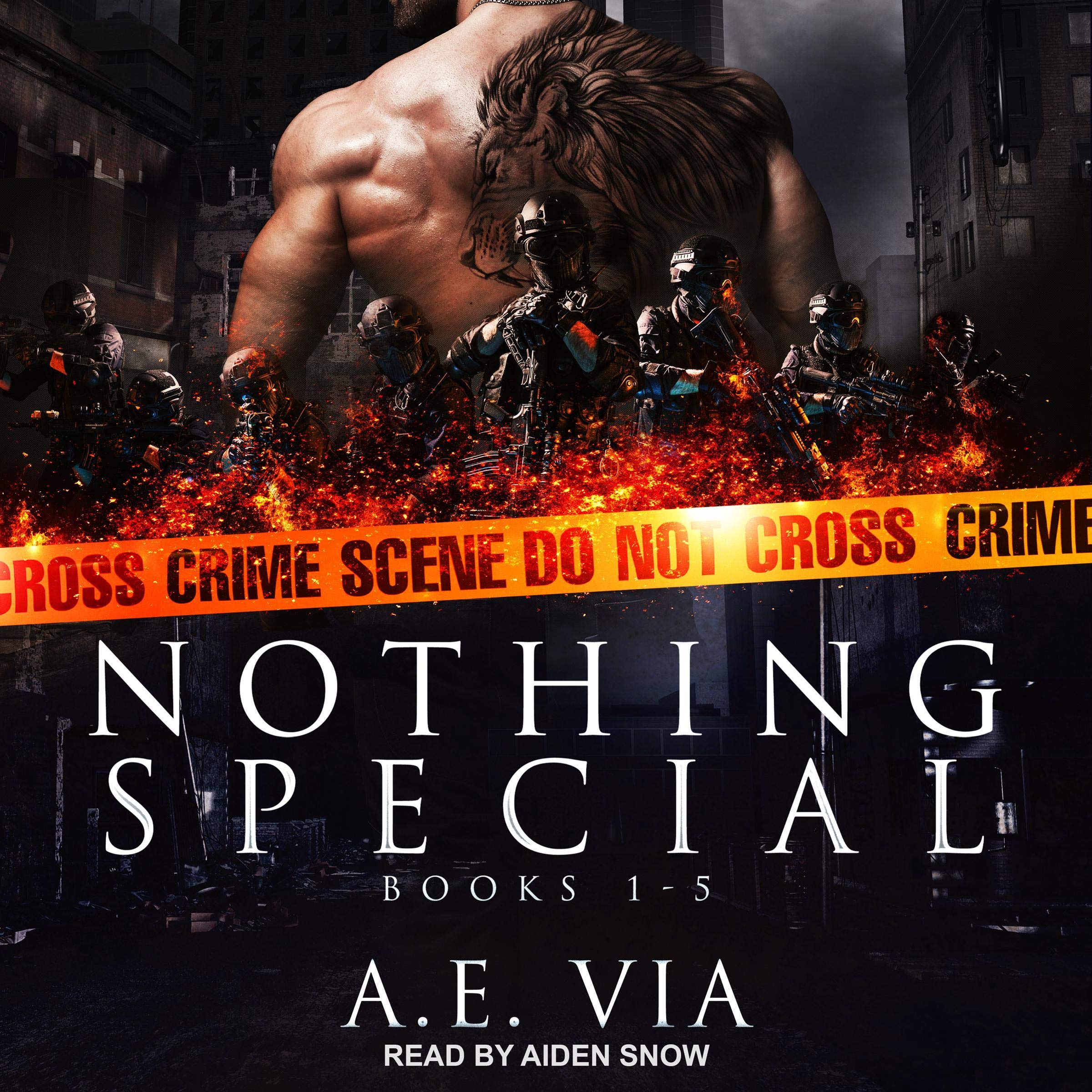 Cover art for Nothing Special Series Box Set