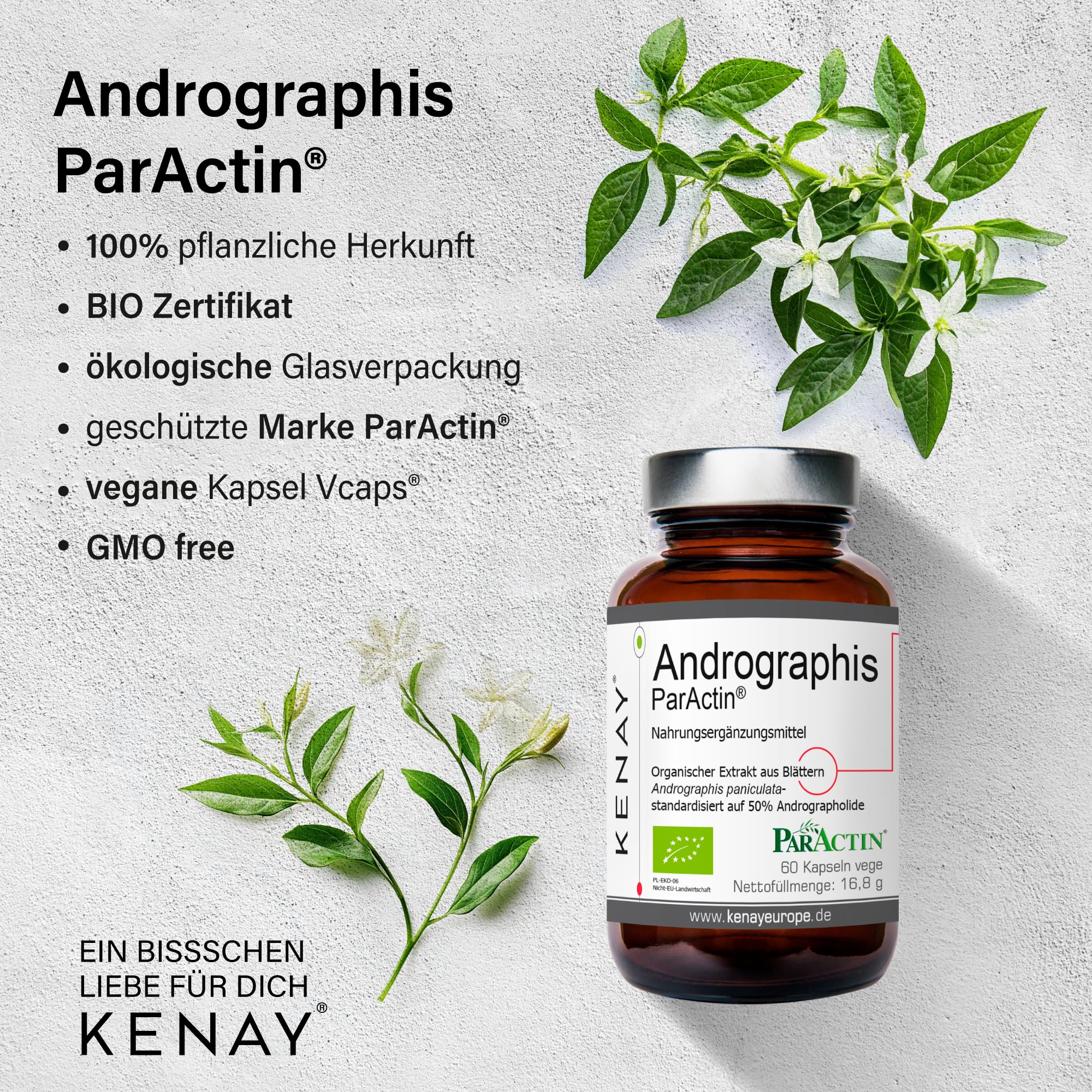 Andrographis ParActin - Extrakt aus Blättern Andrographis paniculata - 300mg pro Tagesdosis - 60 Kapseln vege KENAY EUROPE