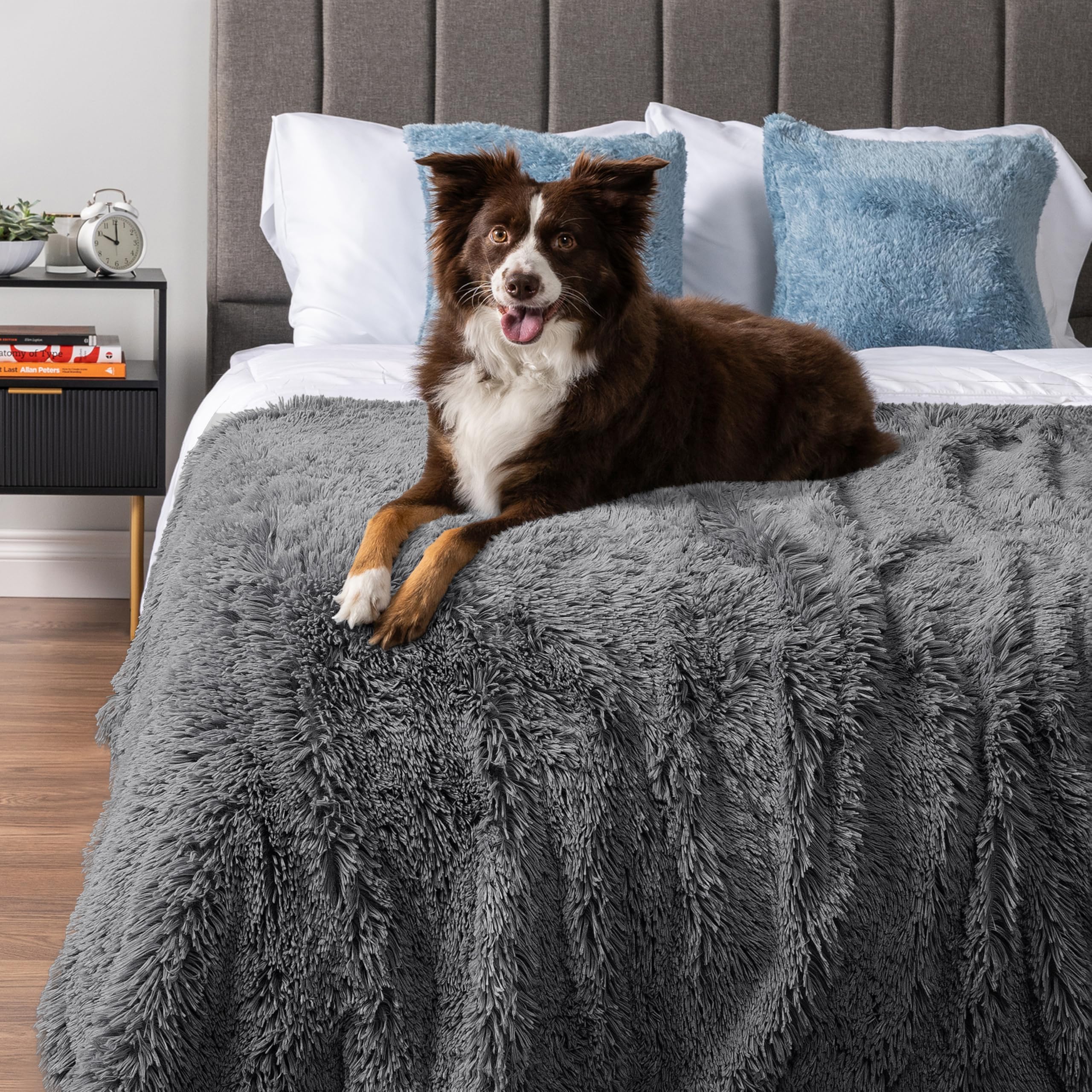 PetAmi Manta Impermeable esponjosa para Perro, Manta de Forro Polar de Piel sintética para Mascotas para Perros y Gatos | Peluda Suave y Peluda Sherpa Protector de Muebles, sofá Cama (Gris, 60 x 80)