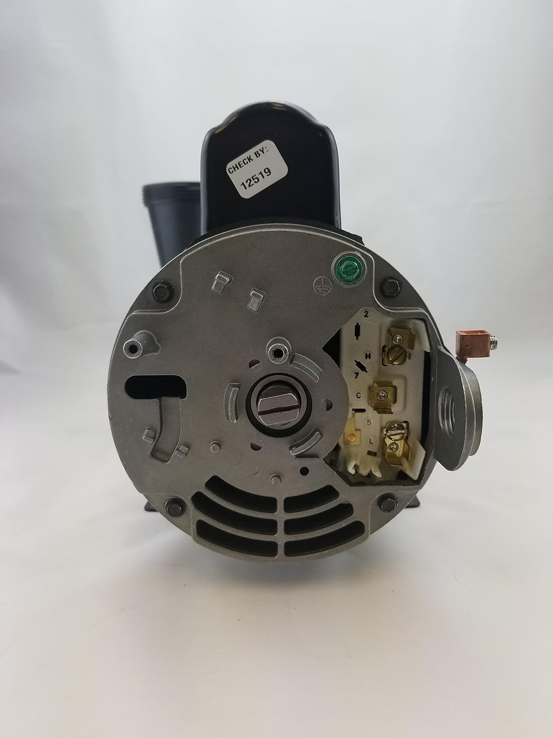 Waterway Plastics 3420820-1A Pump, 230V