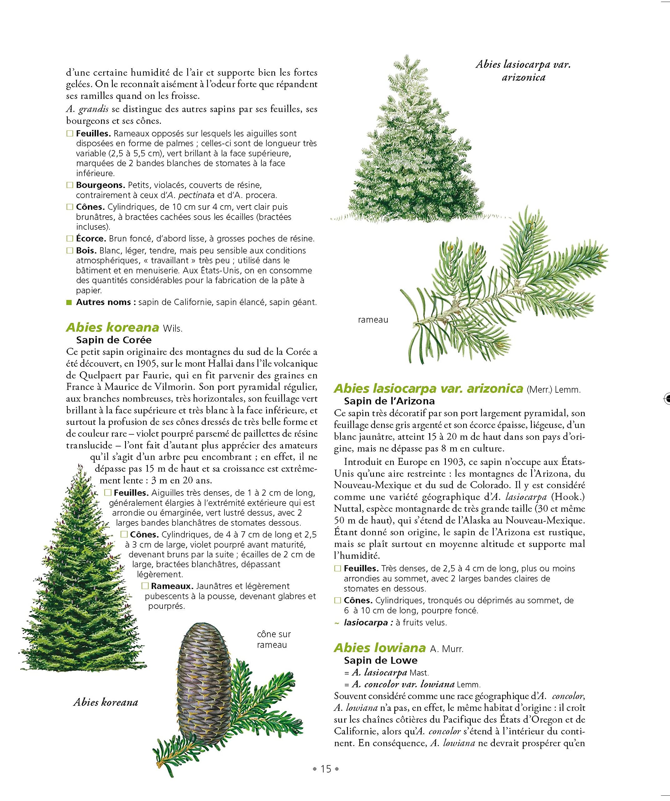 Le Grand Larousse des arbres