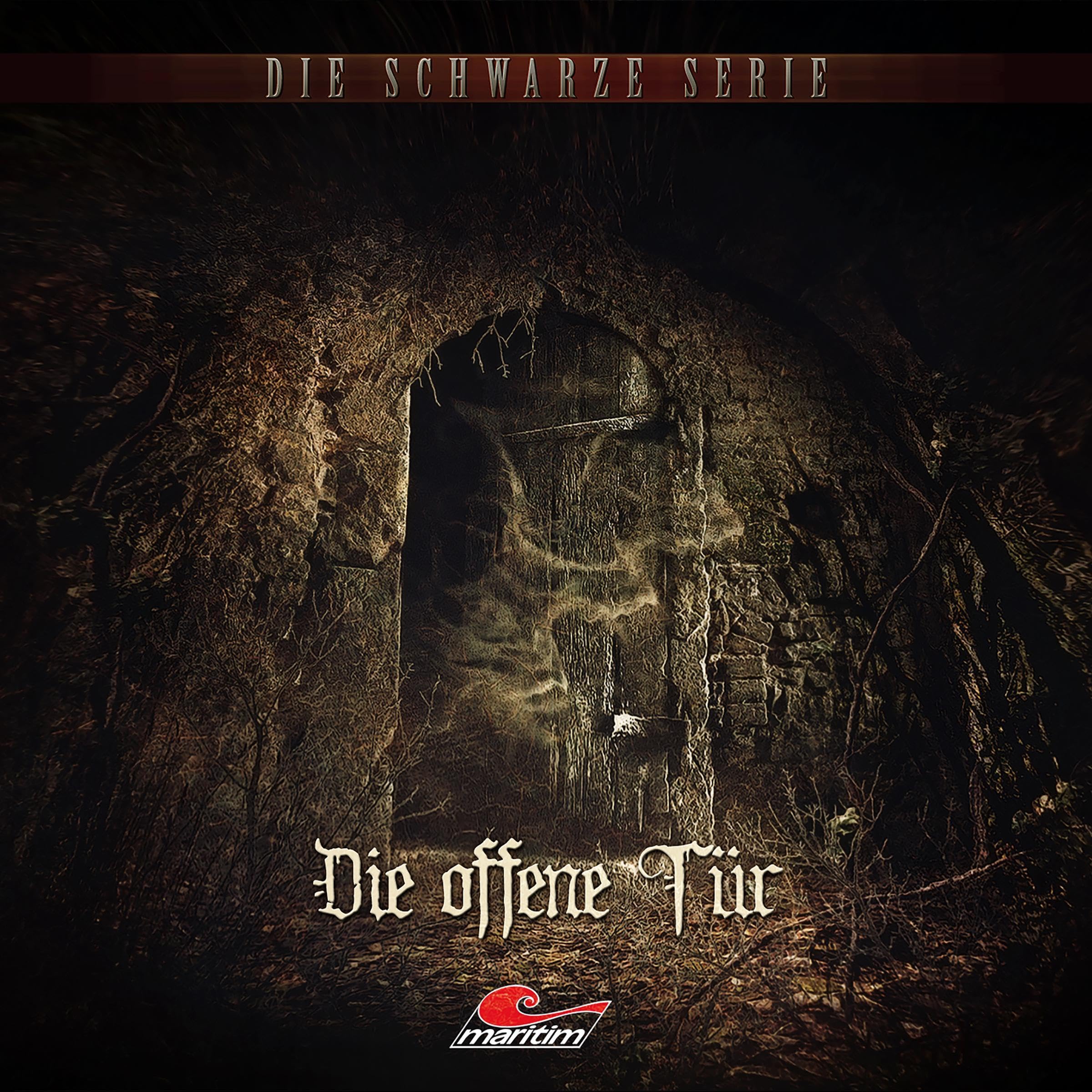 Cover art for Die offene Tür