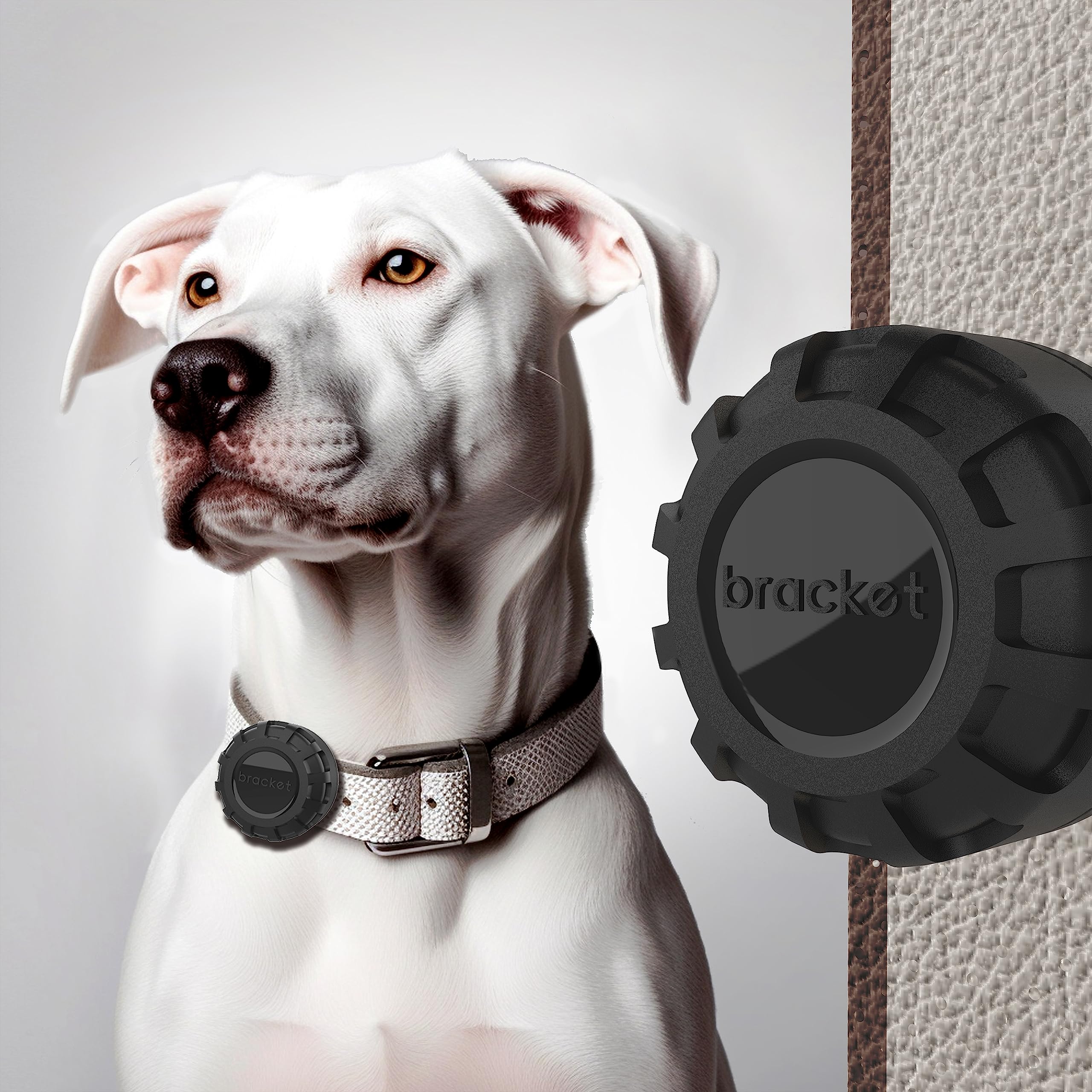 bracket Airtag Dog Collar Holder Case, Airtag Hard Abs Case, Ipx8 Waterproof, Dust & Scratch Resistance, Rugged Strong & Sturdy Airtag For Pets Strap Collar (1N) [Airtag Not Included] (B0C61XHR33) Amazon Price History, Amazon Price Tracker