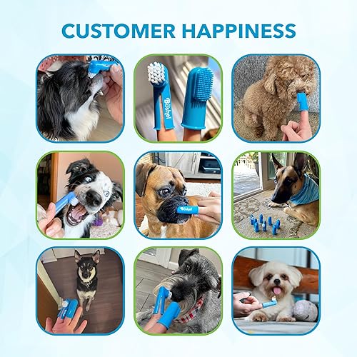 Miniatura 8 de BOSHEL Cepillo de dientes de 8 piezas para perros, kit de cepillo de dientes para perros, incluye 6 cerdas de silicona + 2 cepillos de dientes de