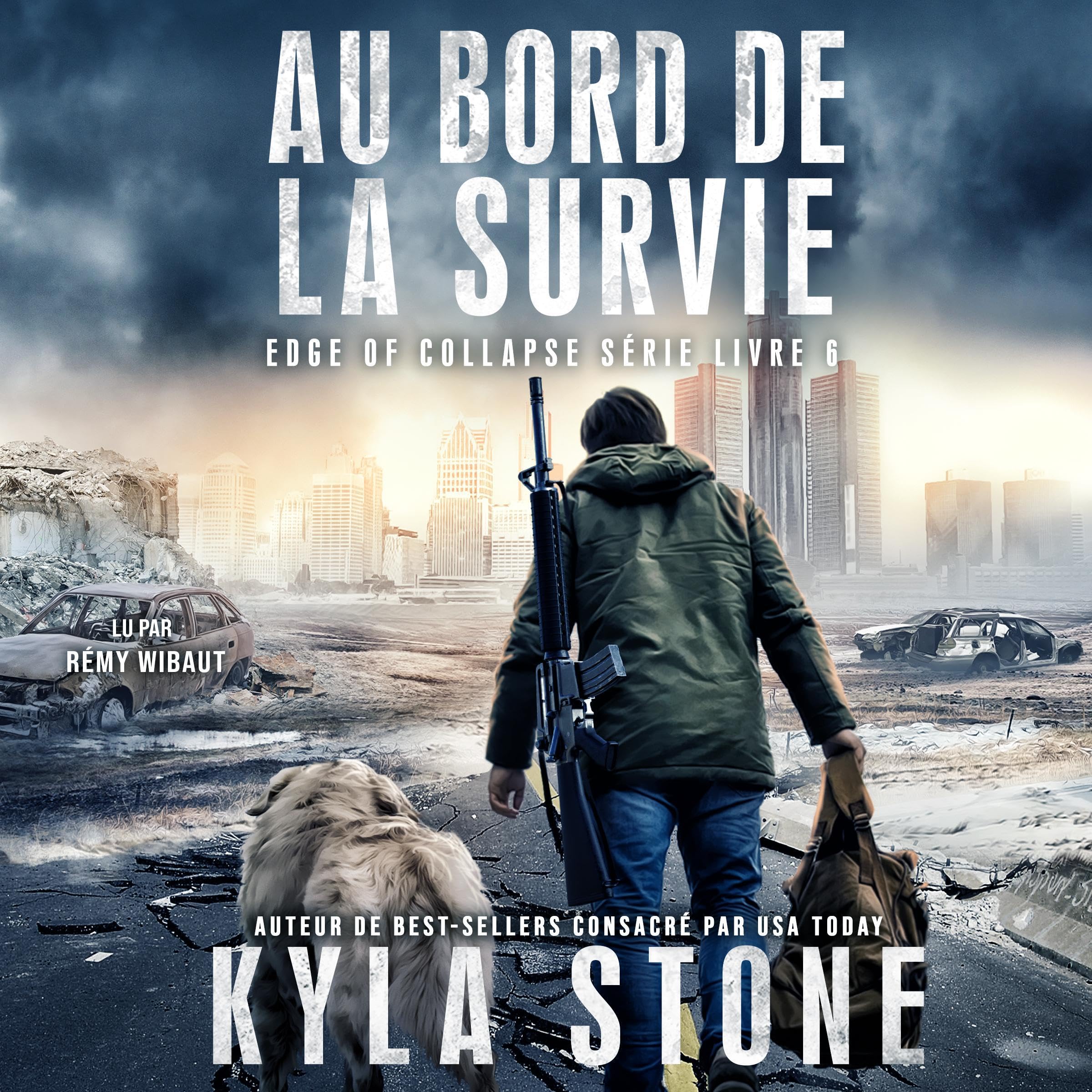 Cover art for Au bord de la survie