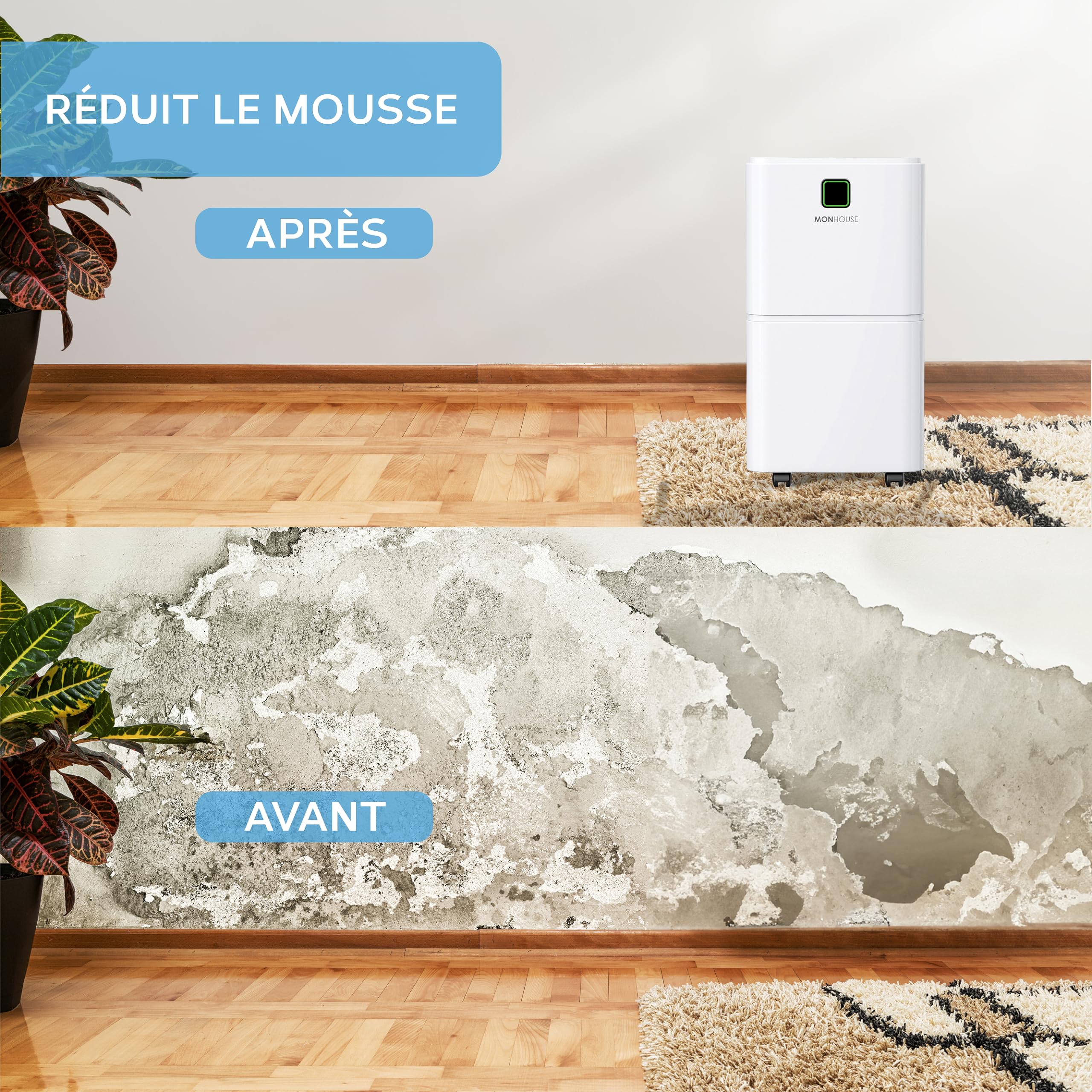 MONHOUSE Deshumidificateur 12 L/Jour - Mode Veille, Minuterie Pour Domicile - Eliminateur De Moisissures Electriques Portables, D Humidite Et De Condensation - Absorbeur D Humidite Silencieux