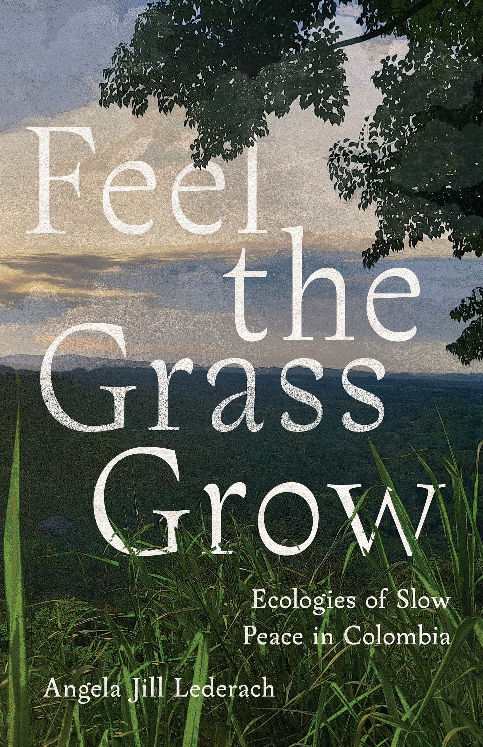 Feel the Grass Grow – Ecologies of Slow Peace in Colombia Lederach Paperback
