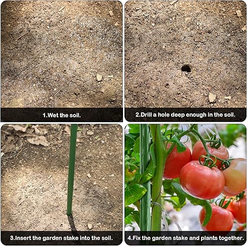 Miniatura 4 de FEED GARDEN Juego de 25 estacas de jardín de 48 pulgadas y 4 pies, soporte resistente de palos de metal para plantas, estacas recubiertas de