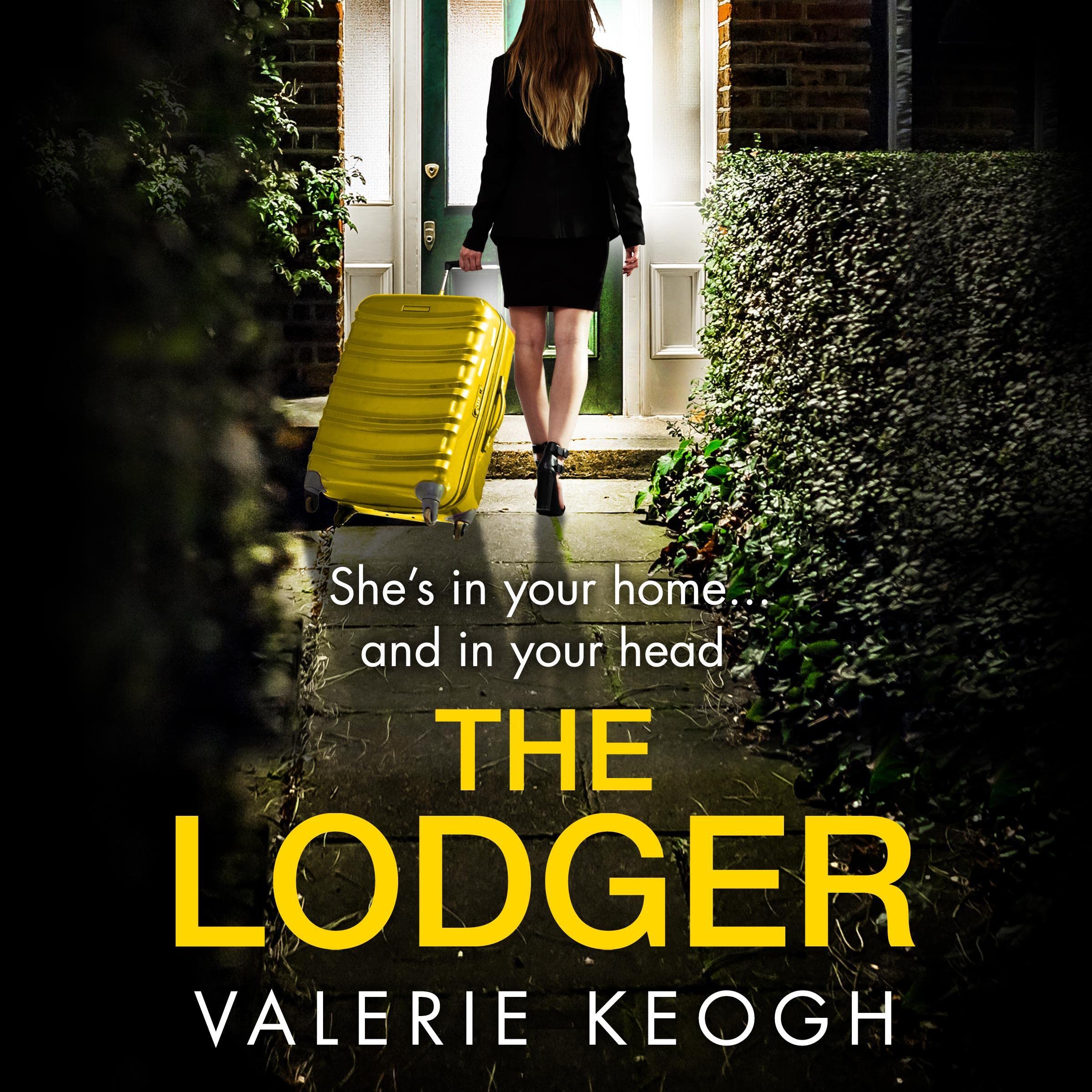 Cover art for The Lodger