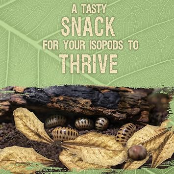 SunGrow 50 Pack Leaf Litter for Spider, Cricket & Isopod, Mini Catappa Dried Indian Almond Leaves, for Vivarium, Terrarium & Aquarium (Mini Leaves (2, 50-Pack))