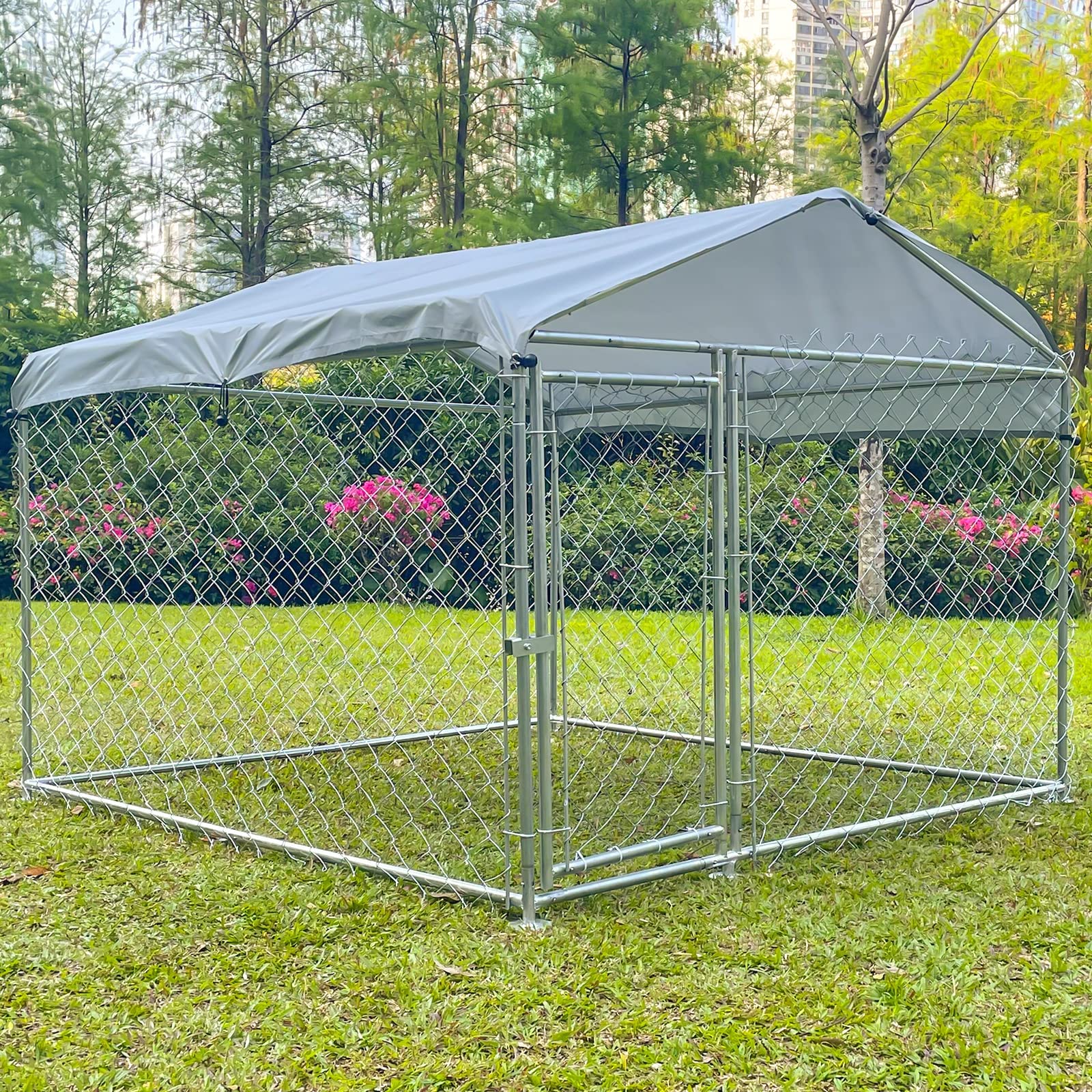 10 Best Outdoor Dog Kennels for Your Furry Friend Harbor City Kennels