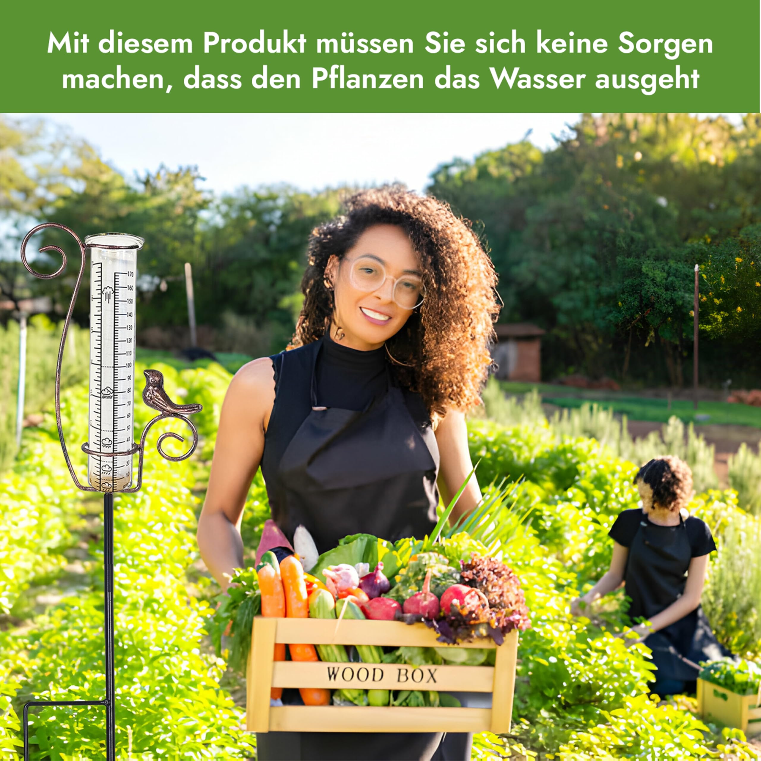 Regenmesser – Regenmesser für Garten – Frostbeständiges Glas – Niederschlagsmesser – Flexibel platzierbar – Gartendeko – Geschenk für Gartenliebhaber