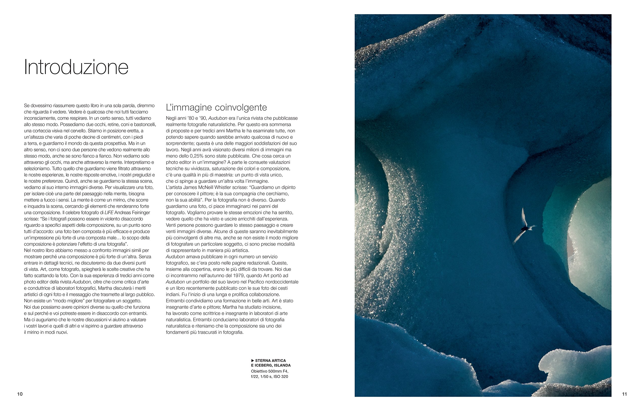 L'arte della fotografia naturalistica. Guida alla composizione di immagini straordinarie di animali e paesaggi naturali. Ediz. illustrata