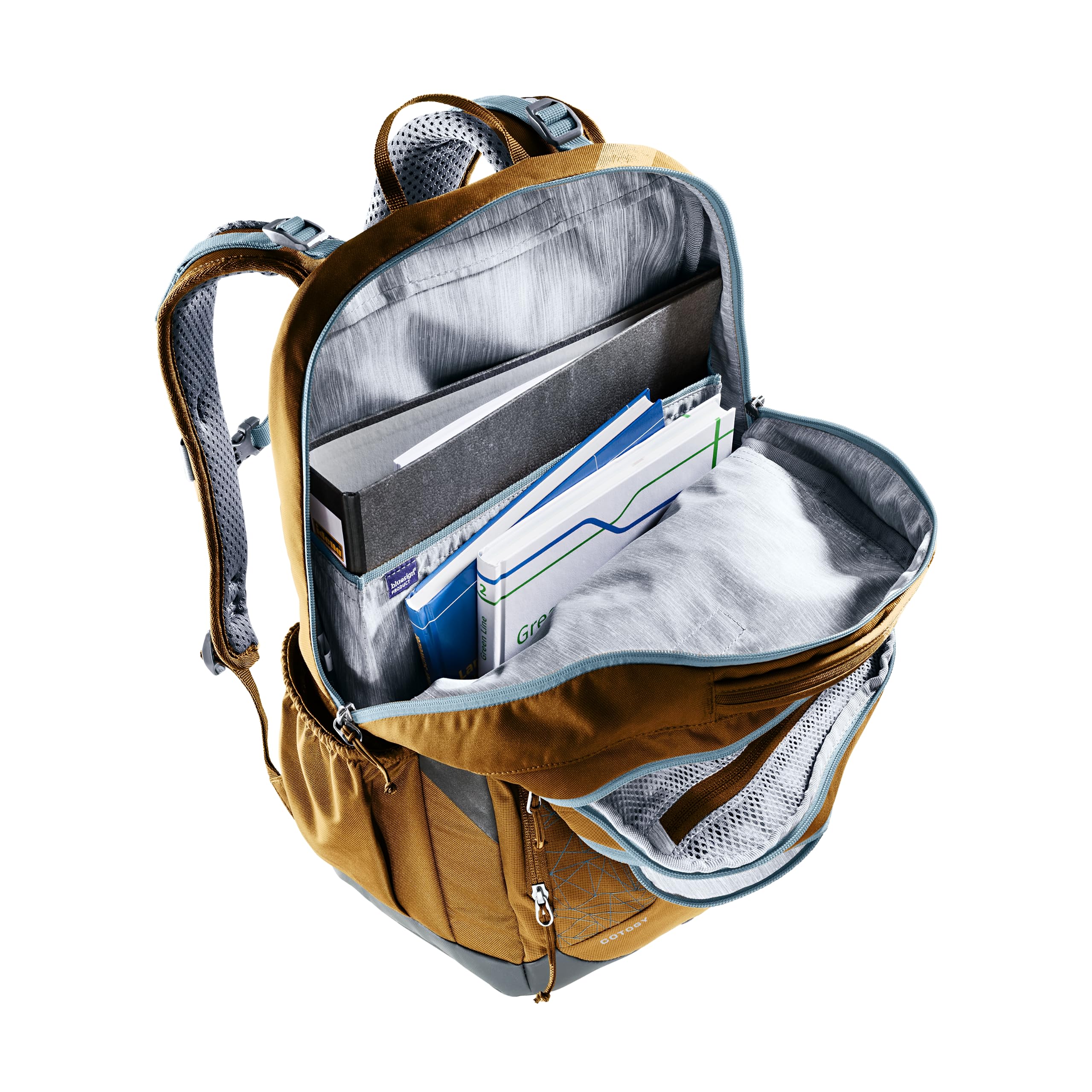 Deuter Plecak szkolny unisex Cotogy (1 szt.)