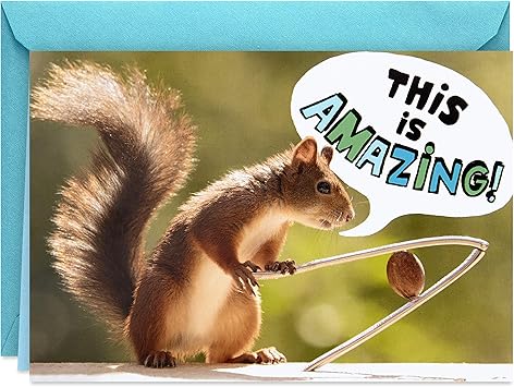 amazon com hallmark shoebox funny birthday card for men squirrel with nutcracker everything else
