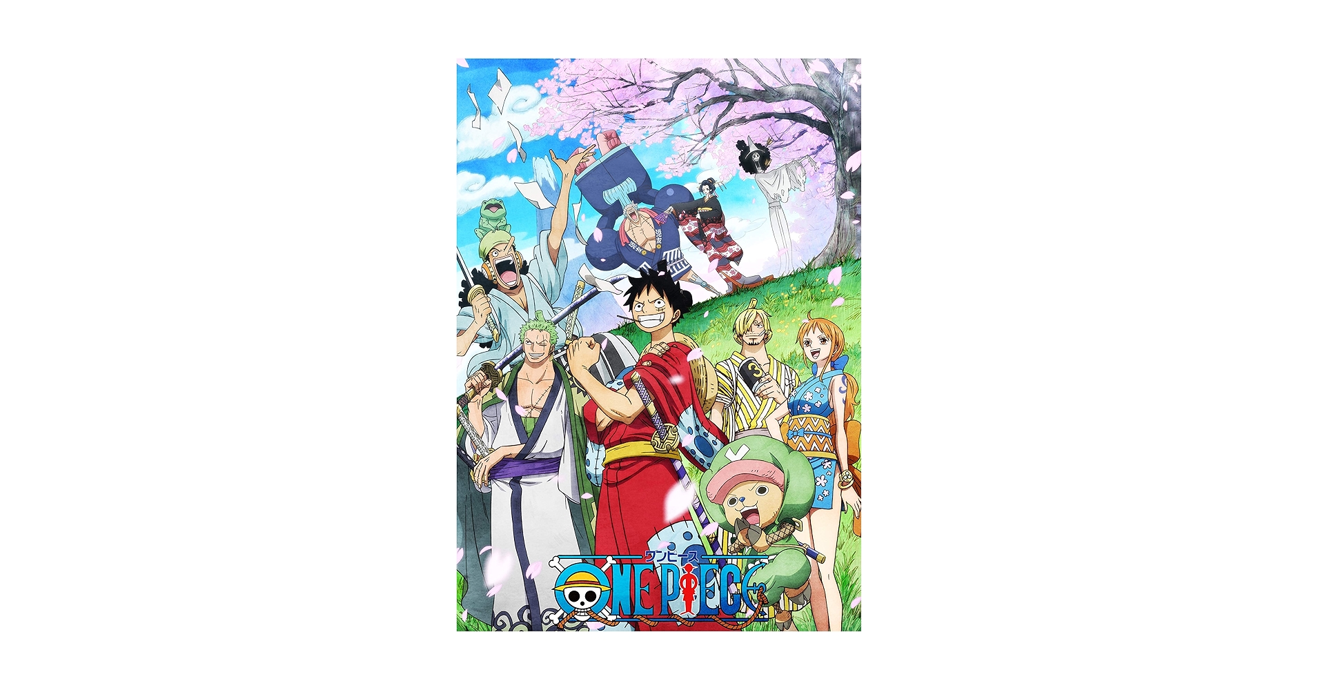Amazon.com: ONE PIECE ワンピース 20THシーズン ワノ国編 piece