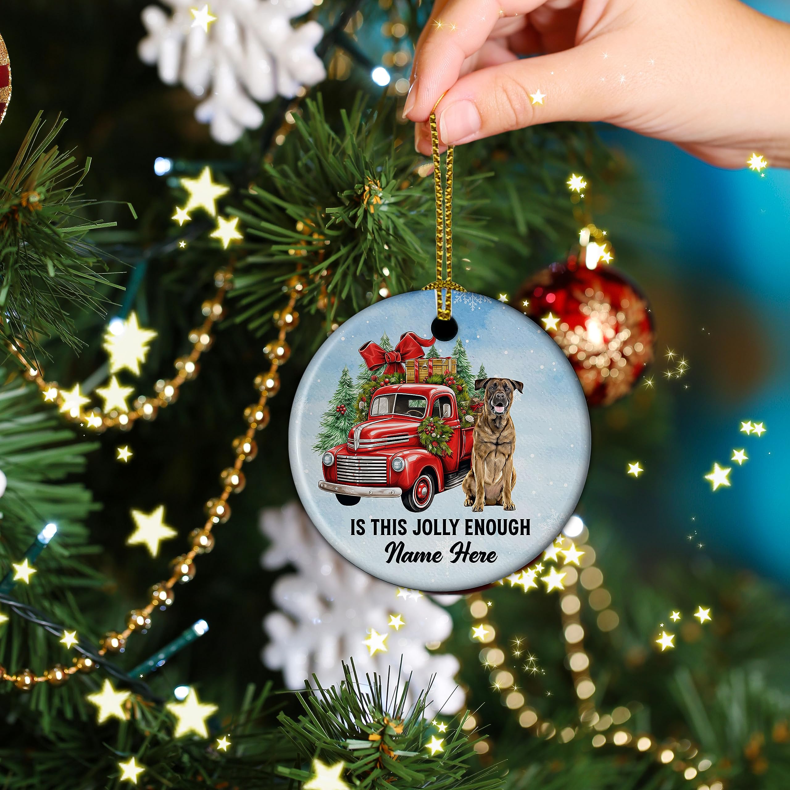 Is This Jolly Enough Cats Funny Expression Personalized Acrylic Orname