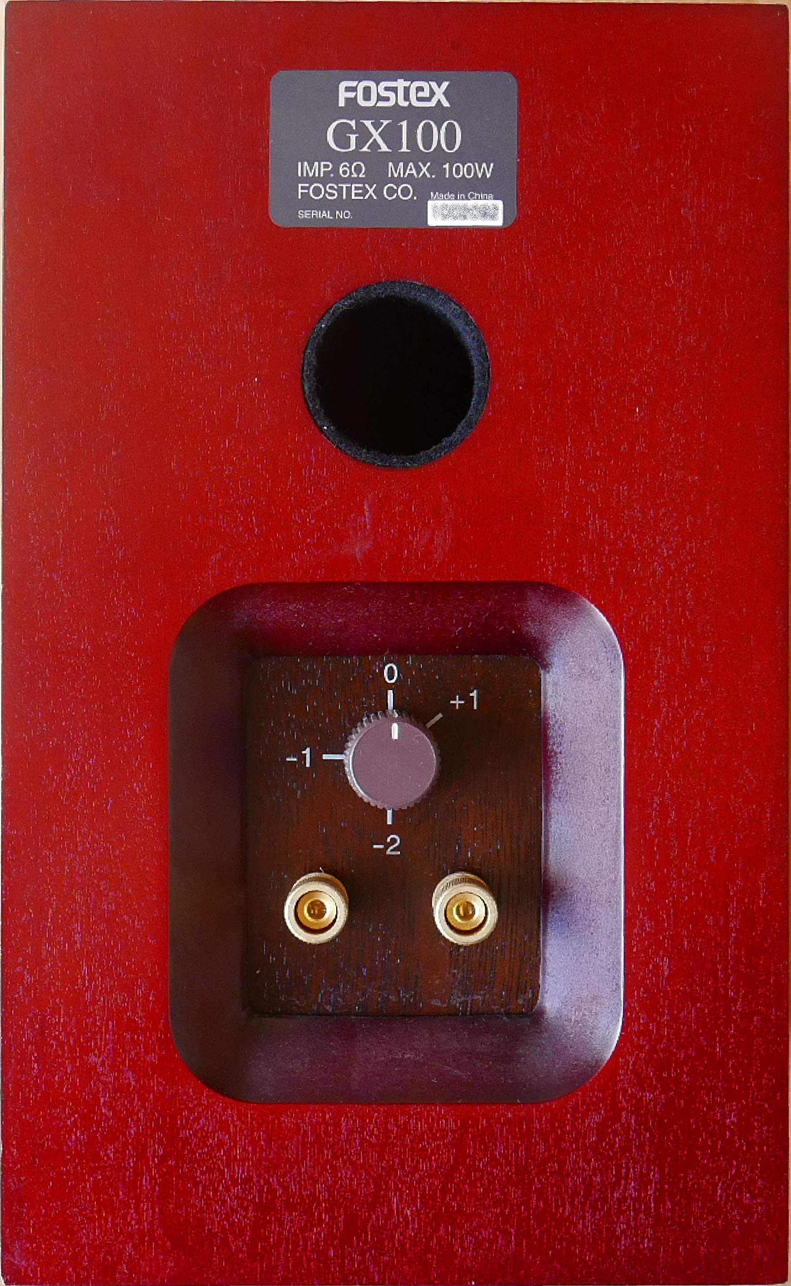 Amazon.co.jp: Fostex GX100 : 家電＆カメラ