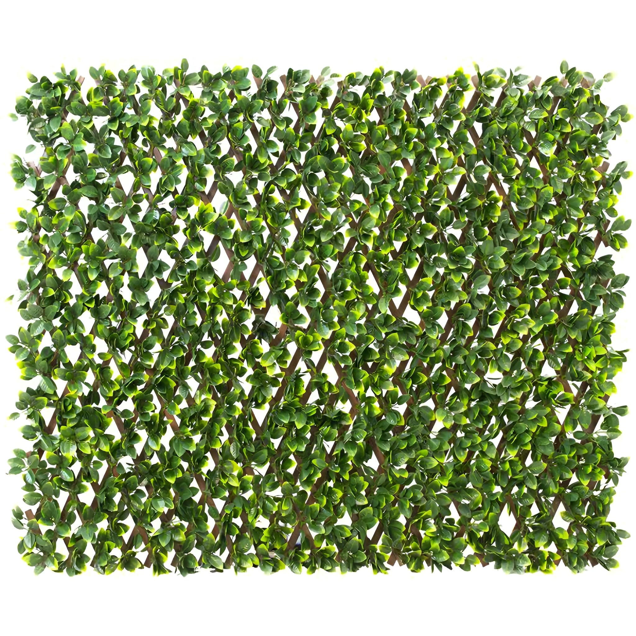 Papillon Extendable Artificial Flower Outdoor Plastic Screening Trellis (Brown) 1m x 2m (3ft 3in x 6ft 7in)