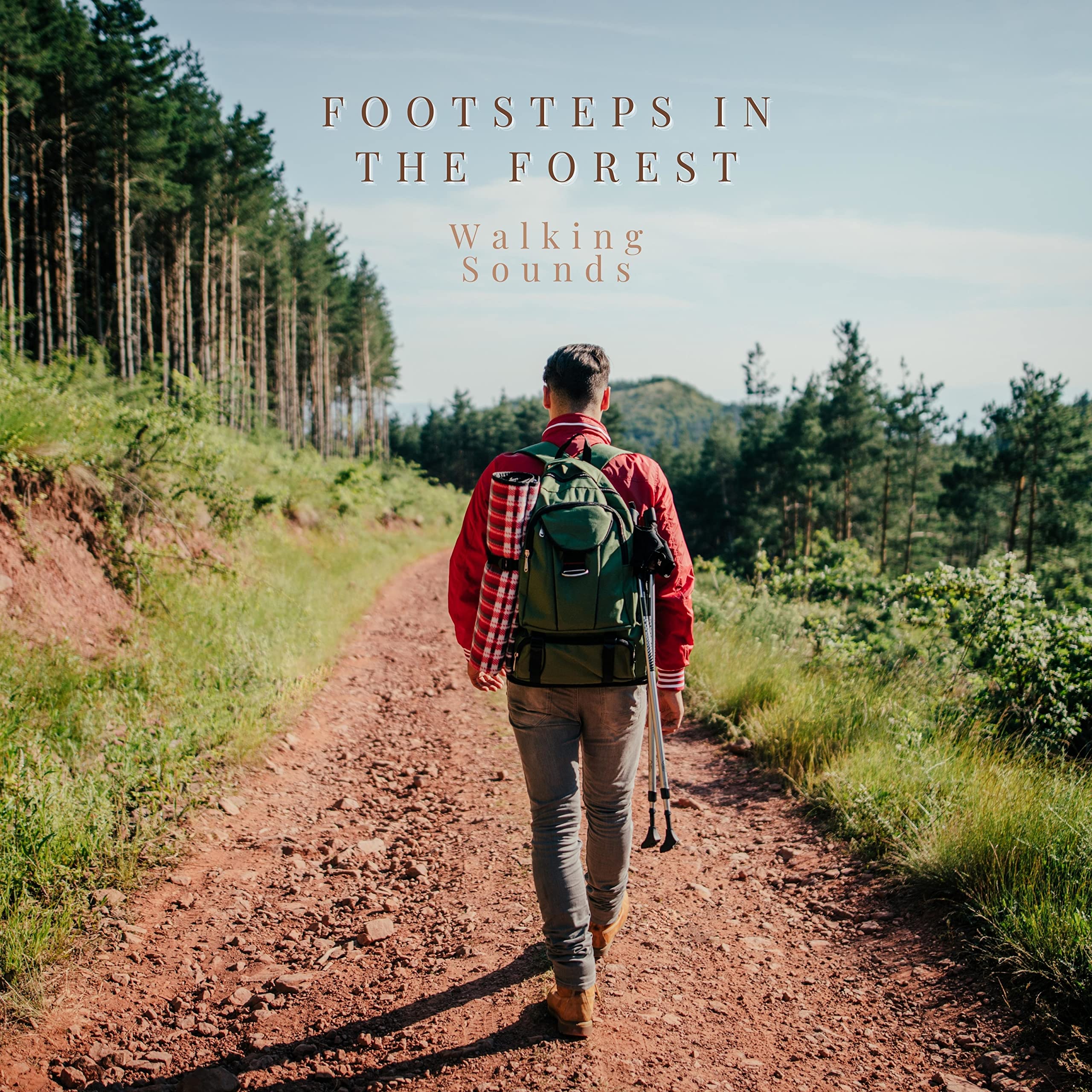 Footsteps in the Forest