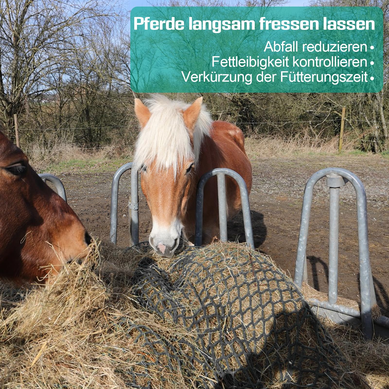 Red de heno redonda, saco de heno para caballos para alimentación apropiada, red de alimentación grande de malla estrecha con malla de 5 x 5 cm, bolsa para heno para caballos para prolongar el tiempo