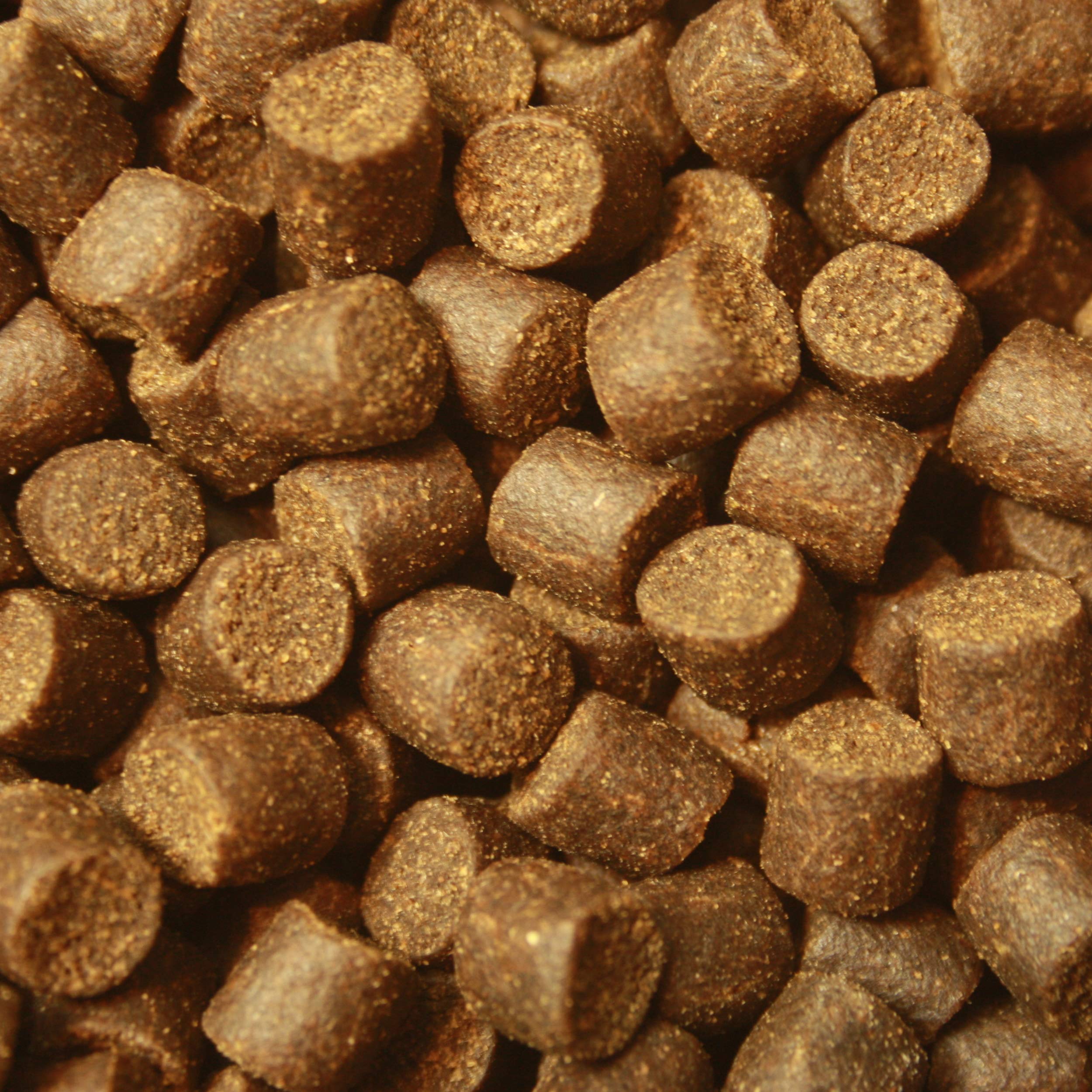 Störfutter extragroß 10mm Energiefutter für Störe, Tomodachi Premium Störsinkfutter deutsche Top Qualität, Störfutter ideal für das ganze Jahr, energiereich, hochverdaulich, arktische Rohstoffe 10kg